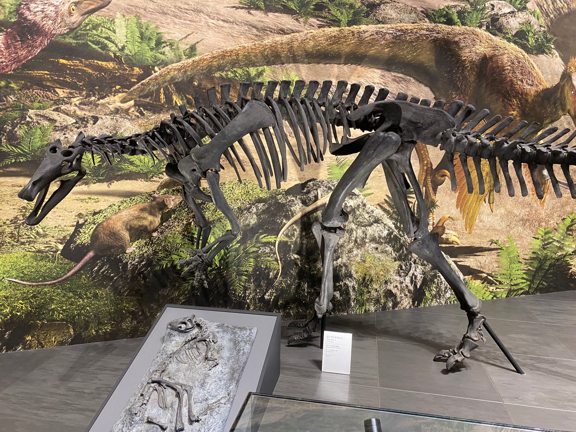 10月3日 長崎市・ベネックス恐竜博物館｜theropodさん