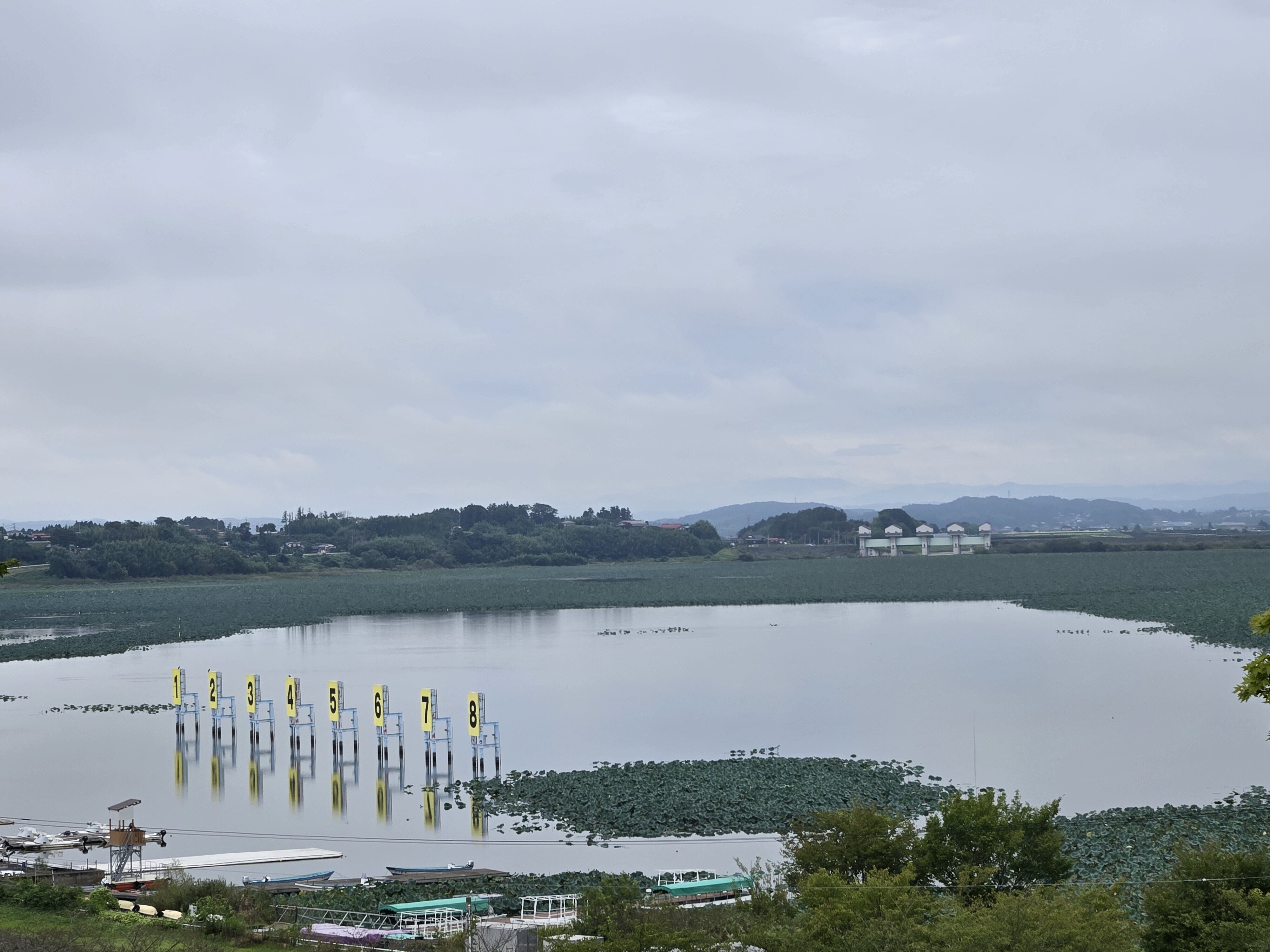 ダムへ行こう！ラプラスでダムカードゲットだぜ！2025秋シーズン｜仂