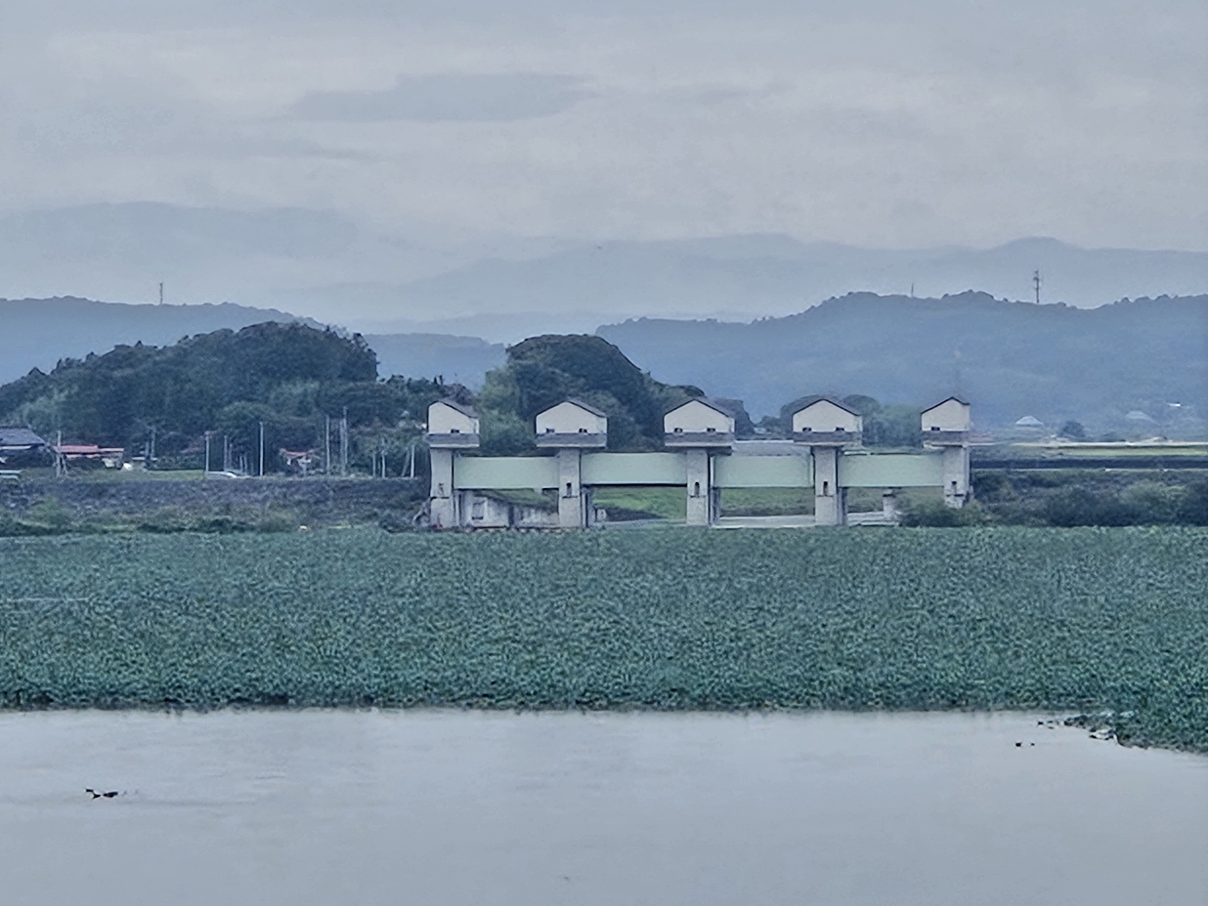 ダムへ行こう！ラプラスでダムカードゲットだぜ！2025秋シーズン｜仂