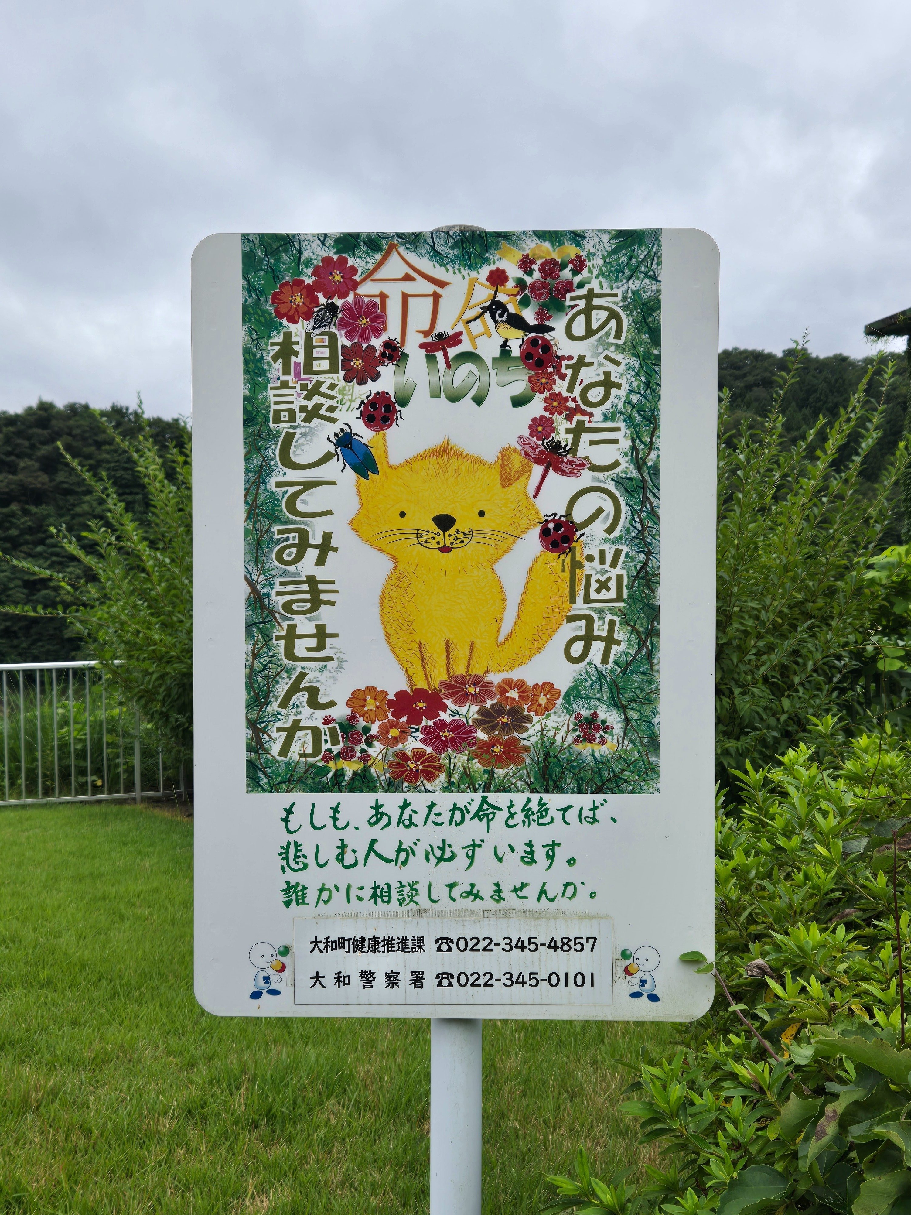 ダムへ行こう！ラプラスでダムカードゲットだぜ！2025秋シーズン｜仂