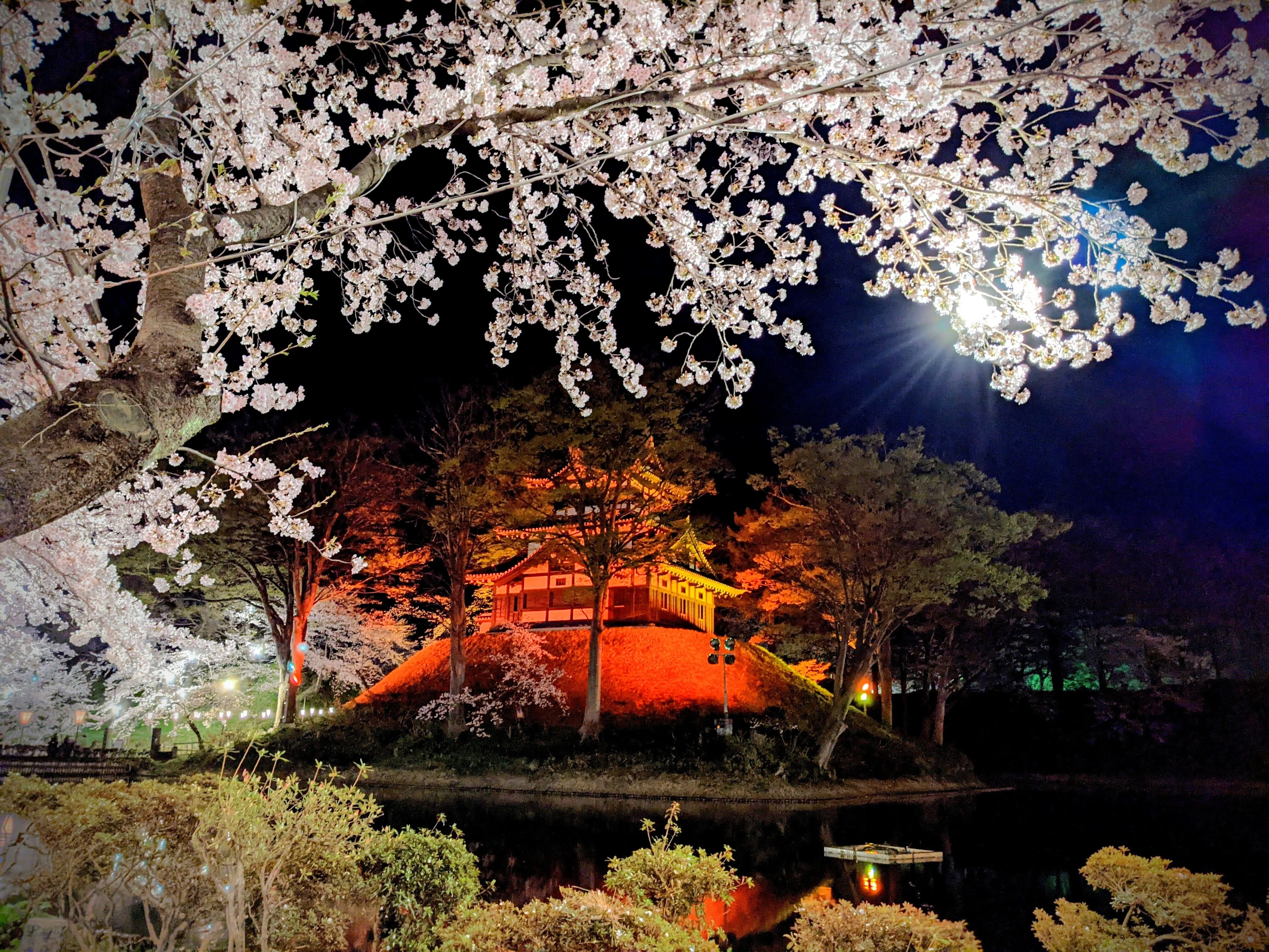 (未使用･未開封品)　さくら 〜花薫る日本の絶景〜 kmdlckf 中古】「未使用品」さくら ～花薫る日本の絶景～（NHKスクエア限定商品