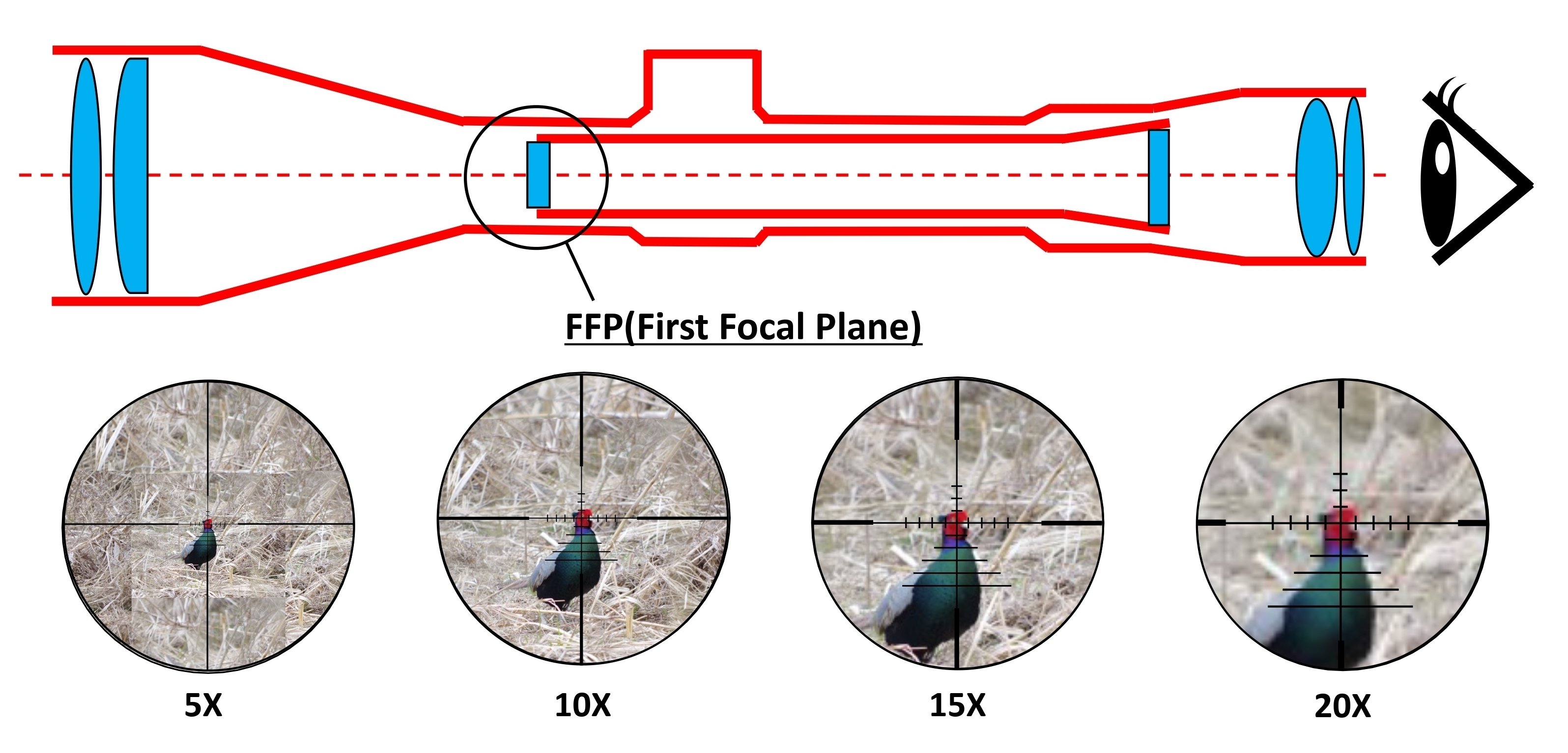 スコープ選びで失敗しない!FFPとSFPの話｜サンパチ チューンズ (Yuu