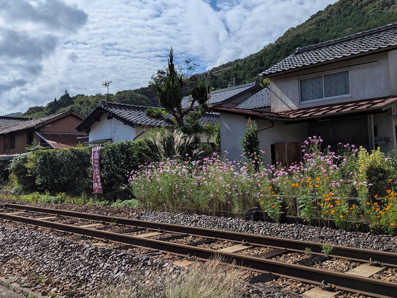 オールドコンデジの世界】エモい PENTAX Optio S55 ・安心の乾電池駆動