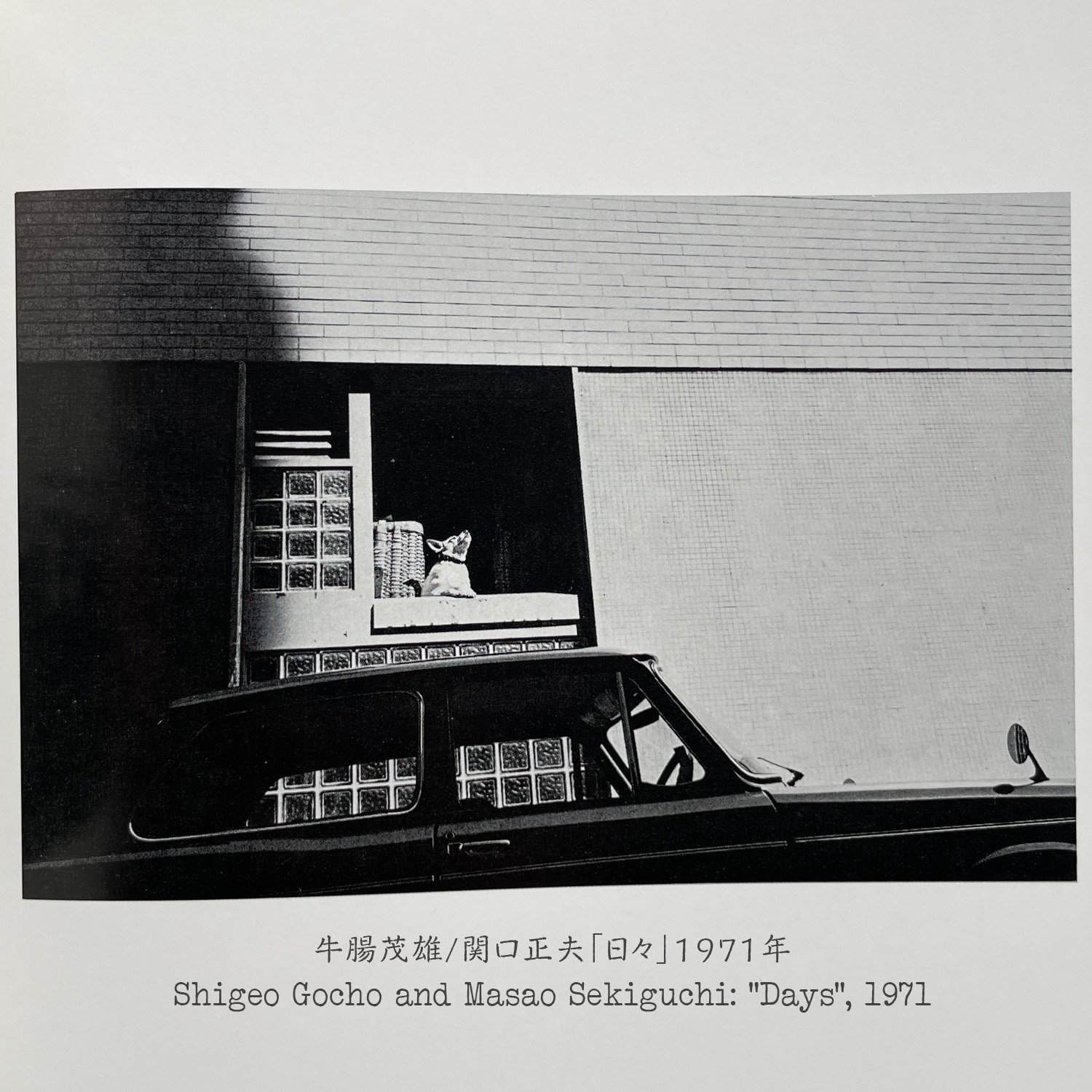 ファインダーを通して《他者》を《自己》へと昇華させた写真家牛腸茂雄