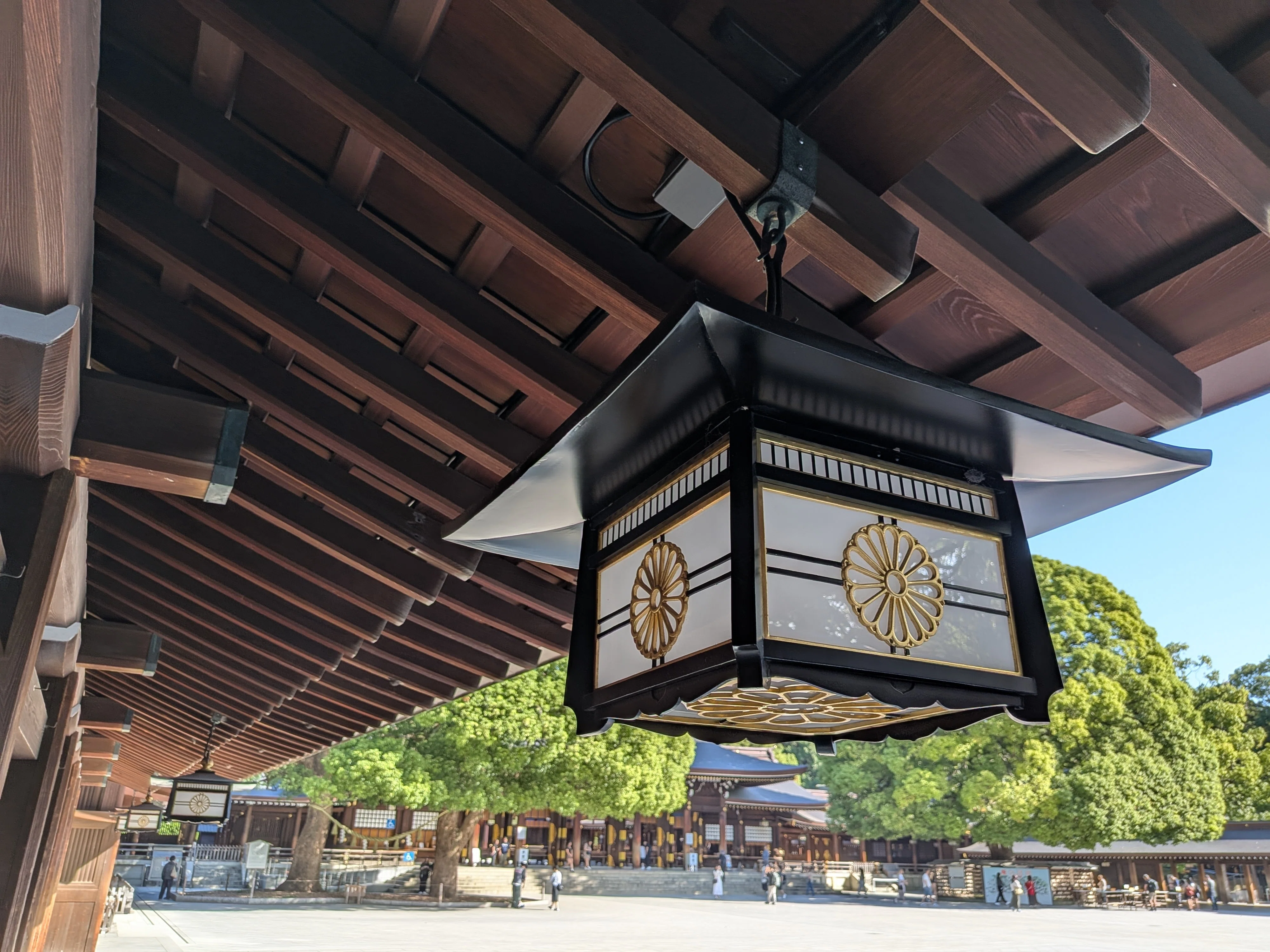 神社クリップ【1】東京 原宿・明治神宮｜宇宙と繋がるアート jamclover