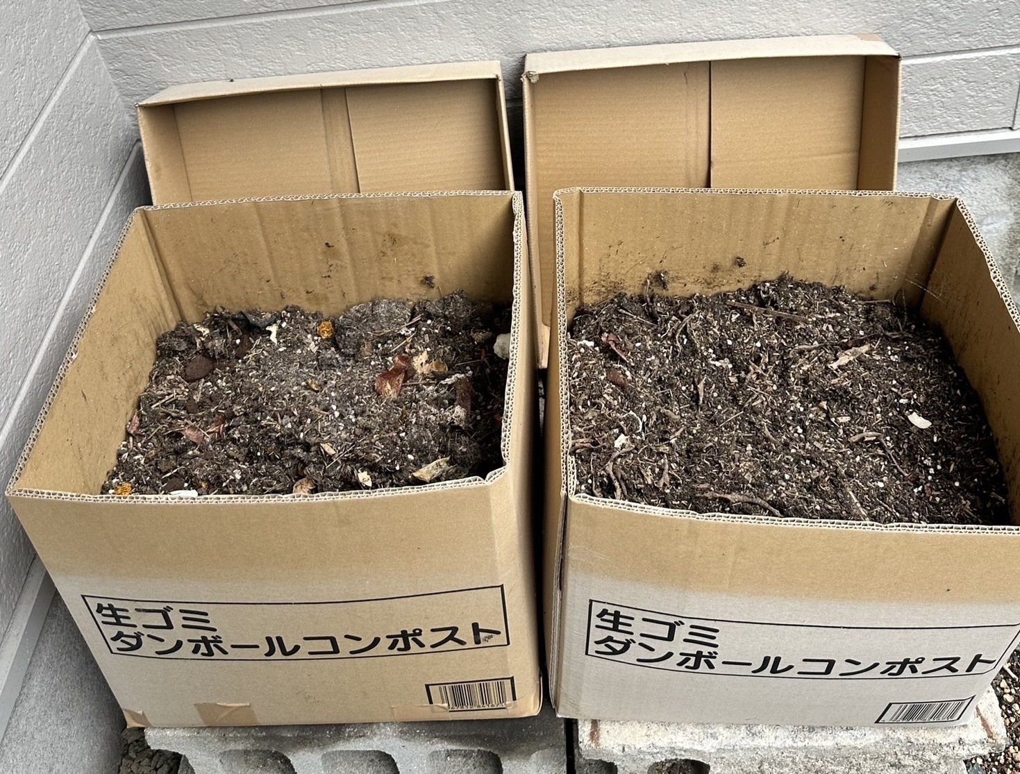 KDSファーム便り①】生ゴミが野菜に？！本格始動！菊池農業高校と連携