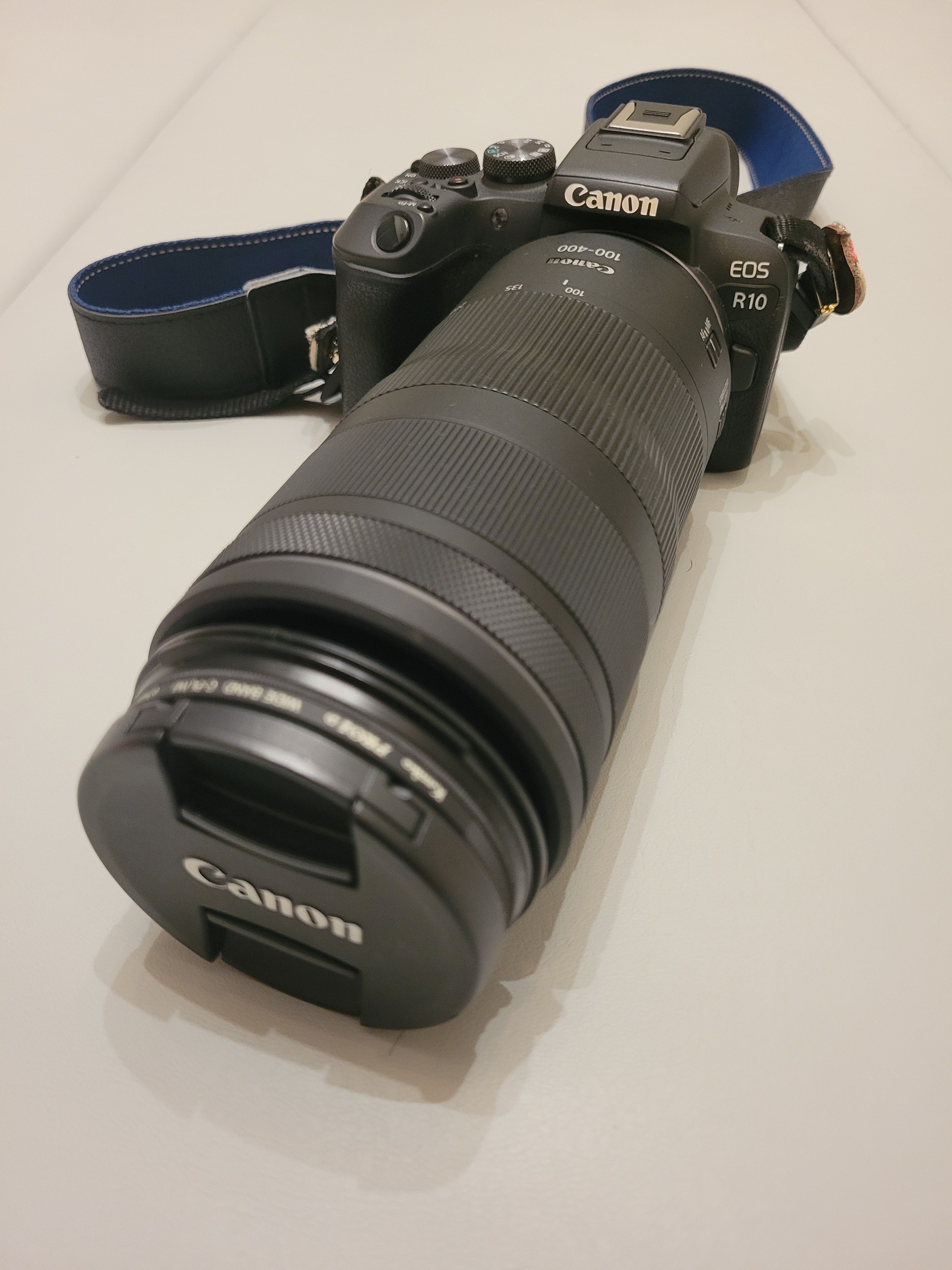 EOS R10と暗いレンズで野鳥撮影を約3年続けてわかったこと【初心者