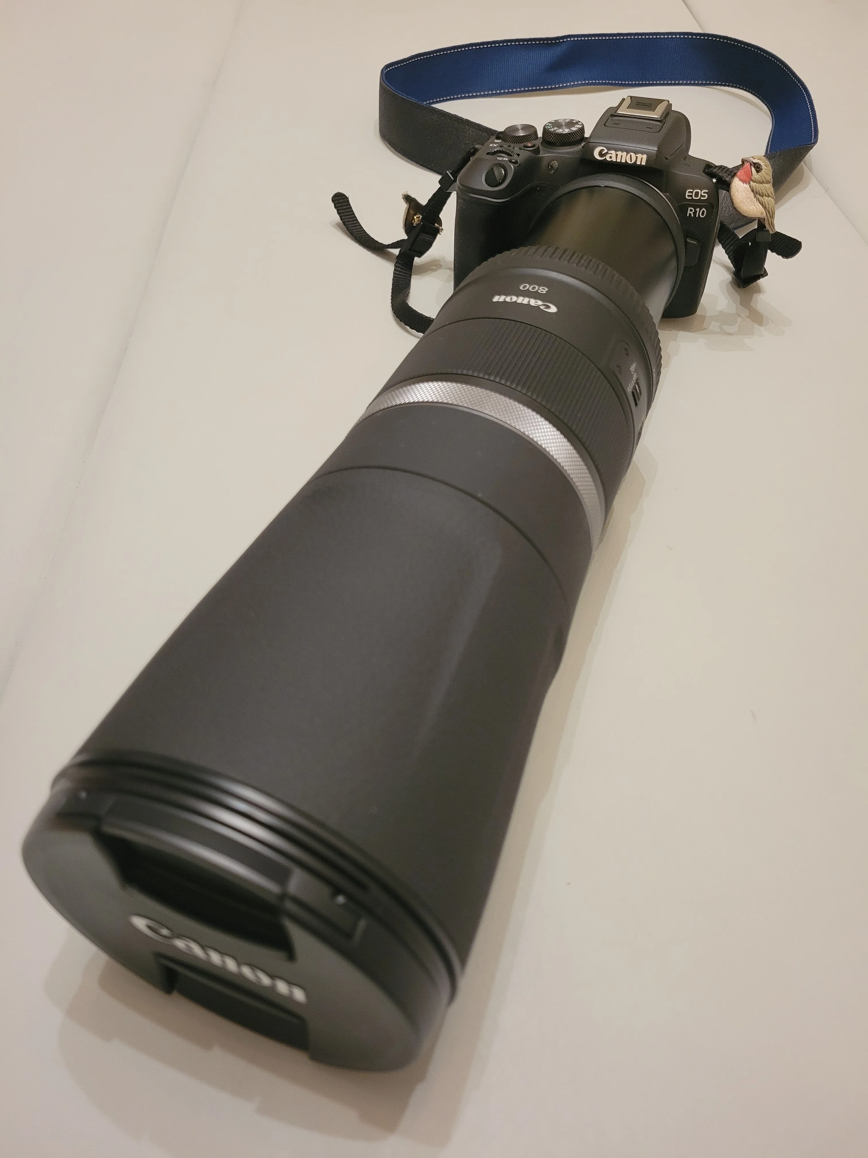 EOS R10と暗いレンズで野鳥撮影を約3年続けてわかったこと【初心者