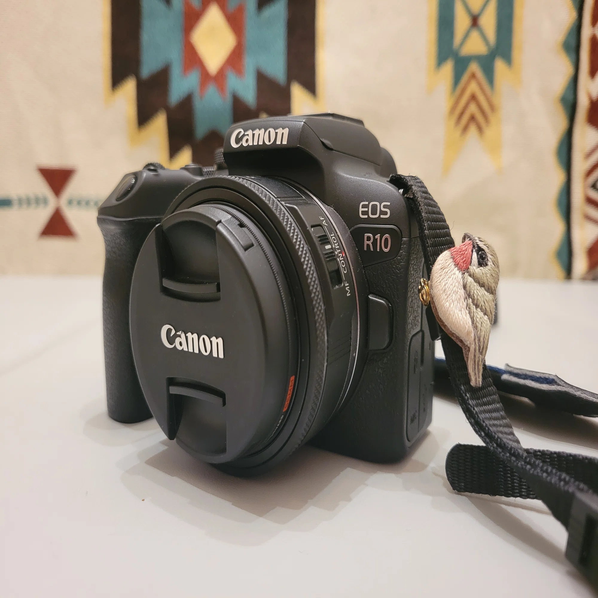 EOS R10と暗いレンズで野鳥撮影を約3年続けてわかったこと【初心者 