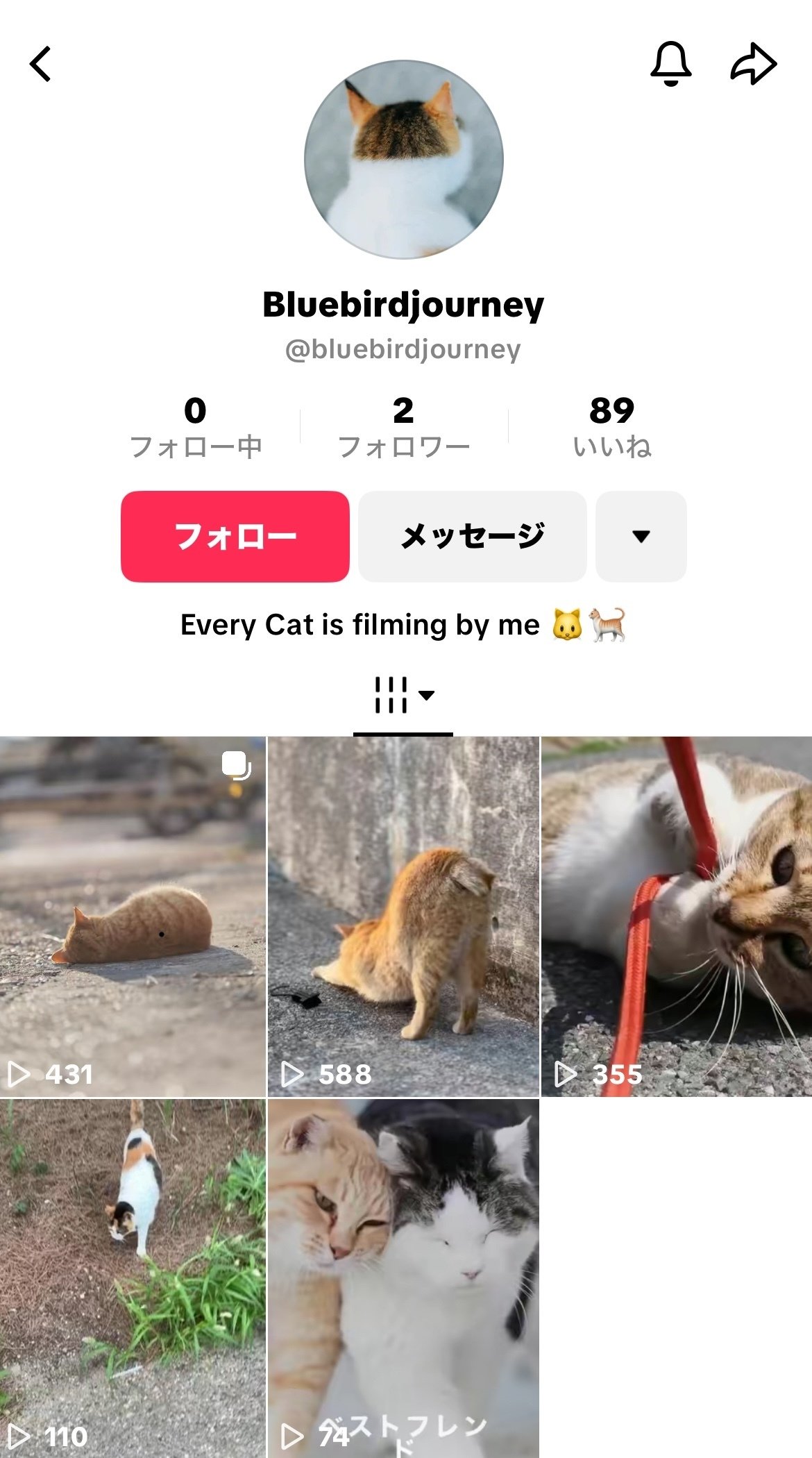 2025年10月】TikTokでなりすまし及びコンテンツ不正利用された時