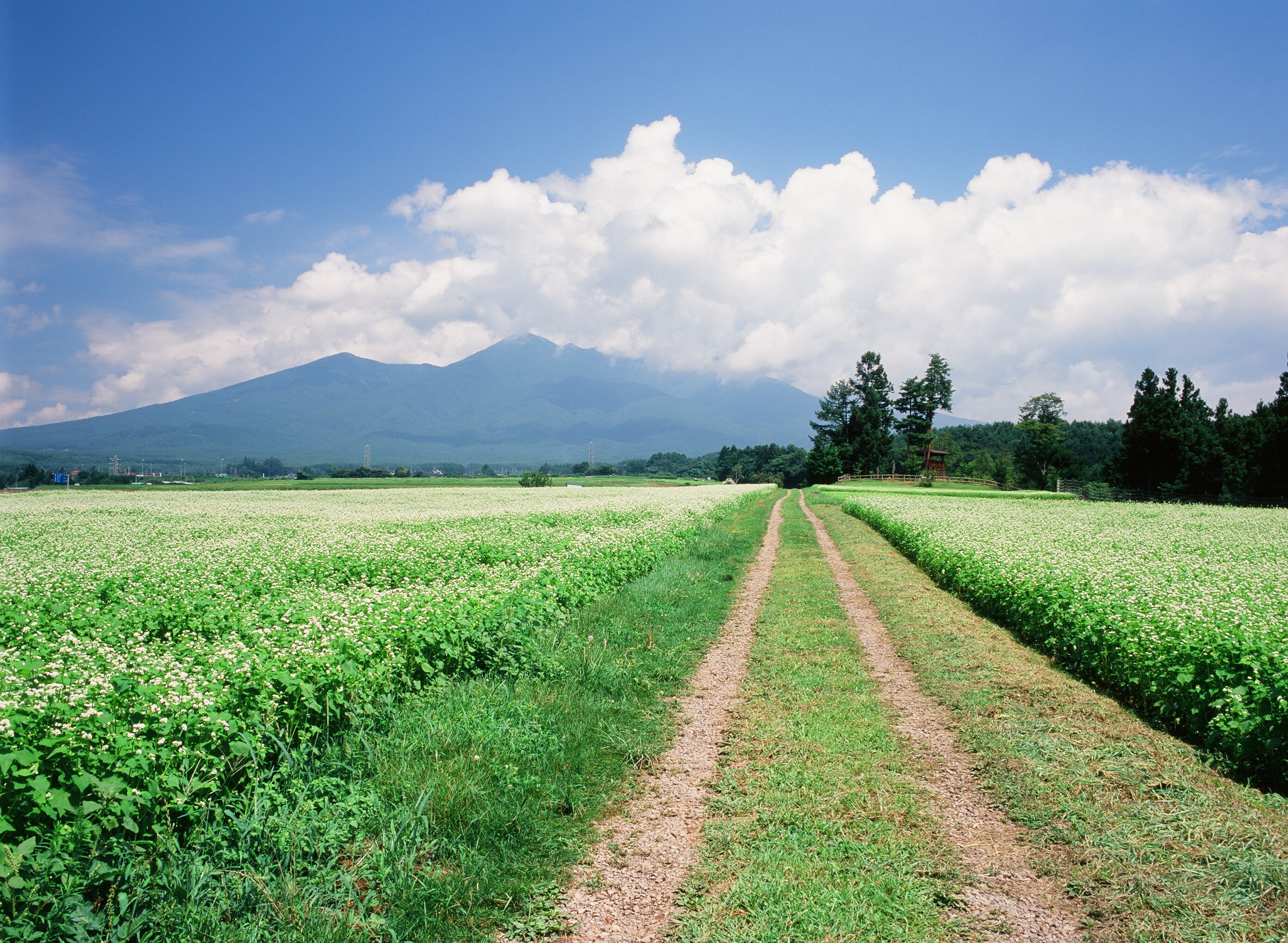 長野県富士見町「空の恵みが届く町」の魅力とは？｜八ヶ岳の自然・居住