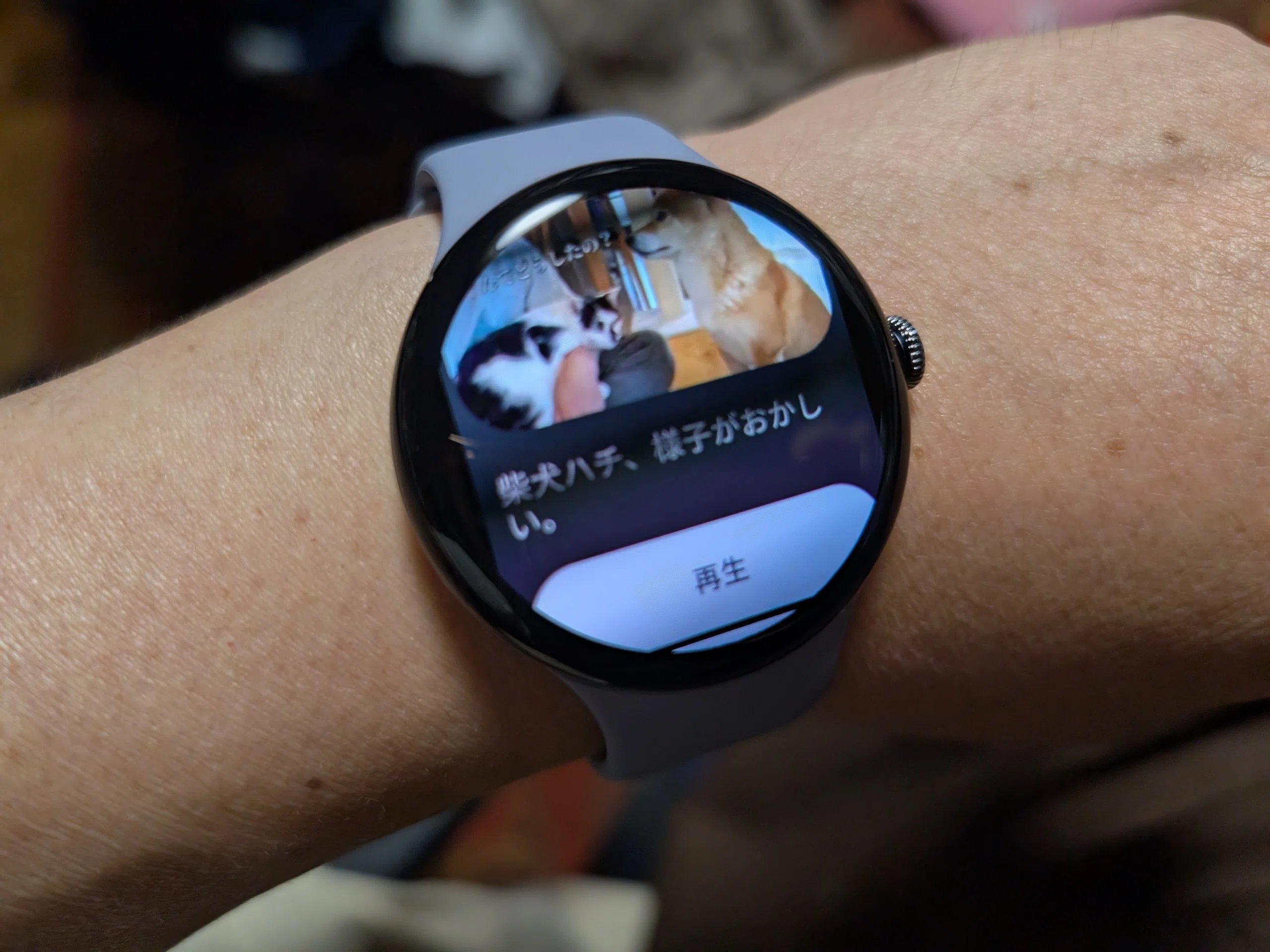Google Pixel Watch 4 に更新したの巻（2025/10/17更新あり）｜少佐の