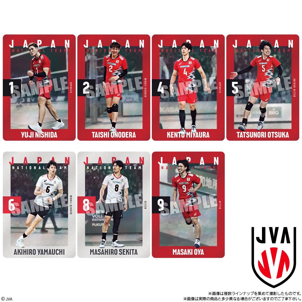 全種類☆JAPAN NATIONALVOLLEYBALL カードコンプリート バレーボール