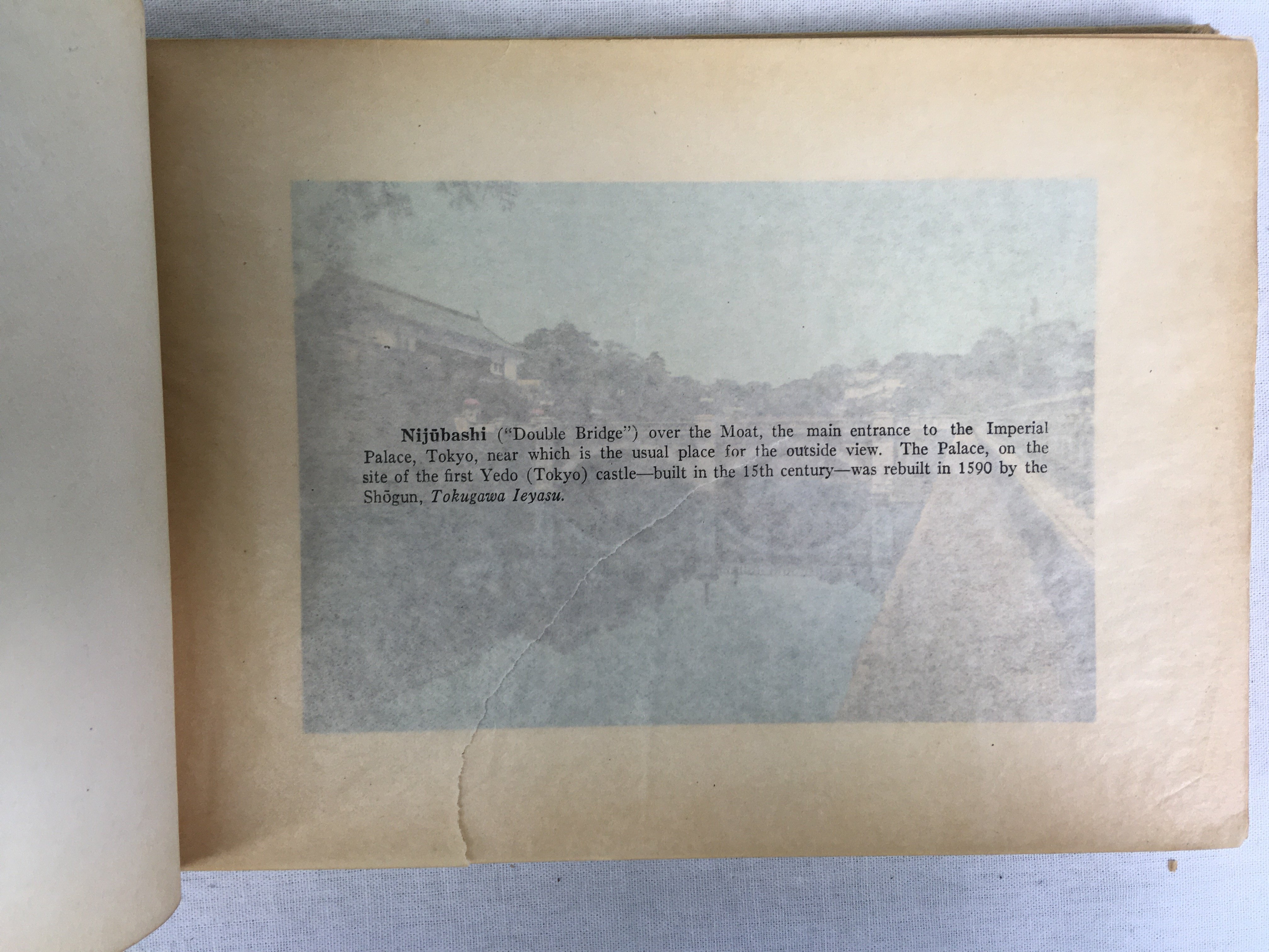 洋書 革装本 小口天金 豪華本 シェイクスピア全集 洋書 革装本 小口天金 豪華本 シェイクスピア全集 本