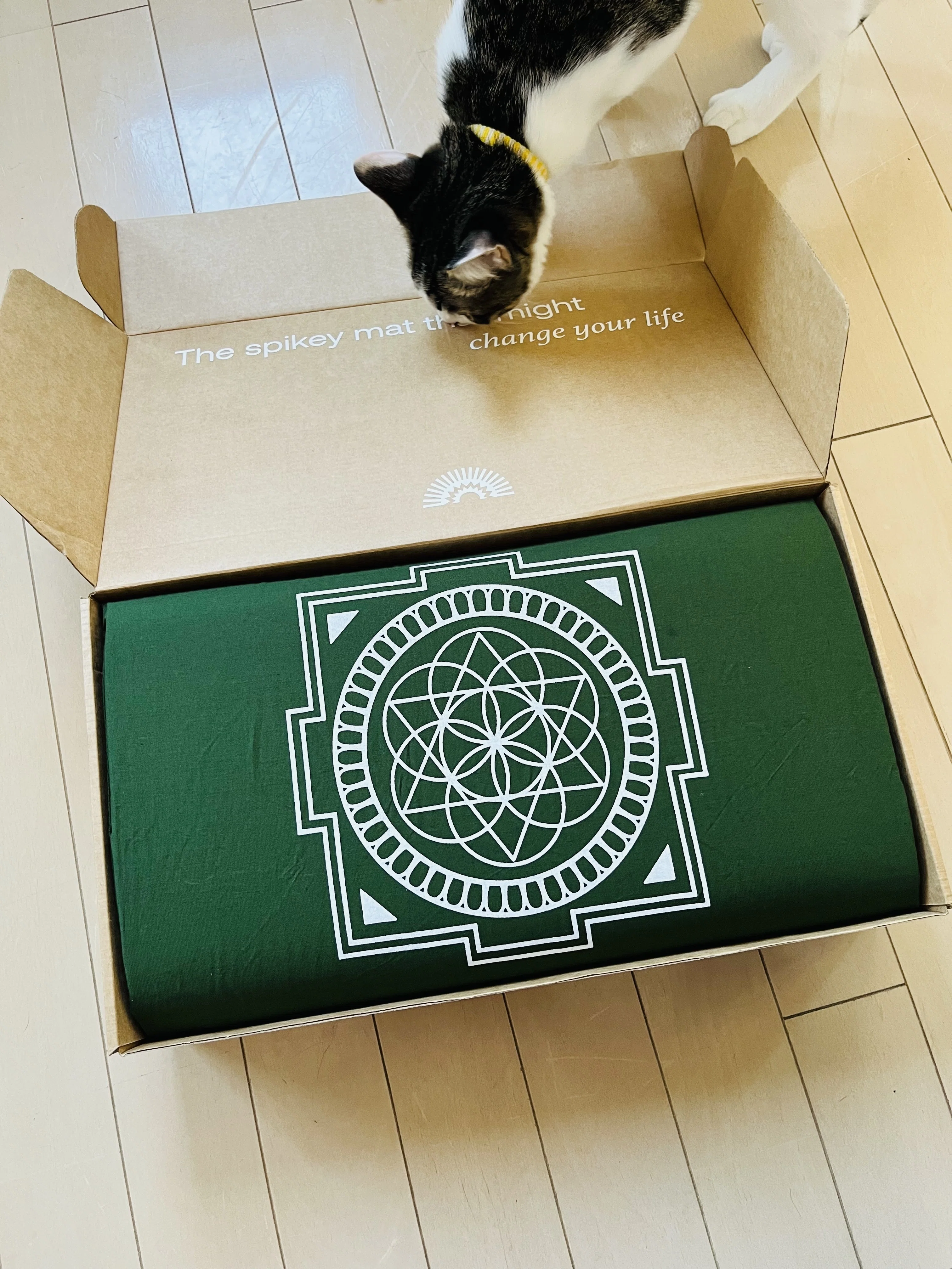 漫画描きがシャクティマットを買ってみた｜@furuichi