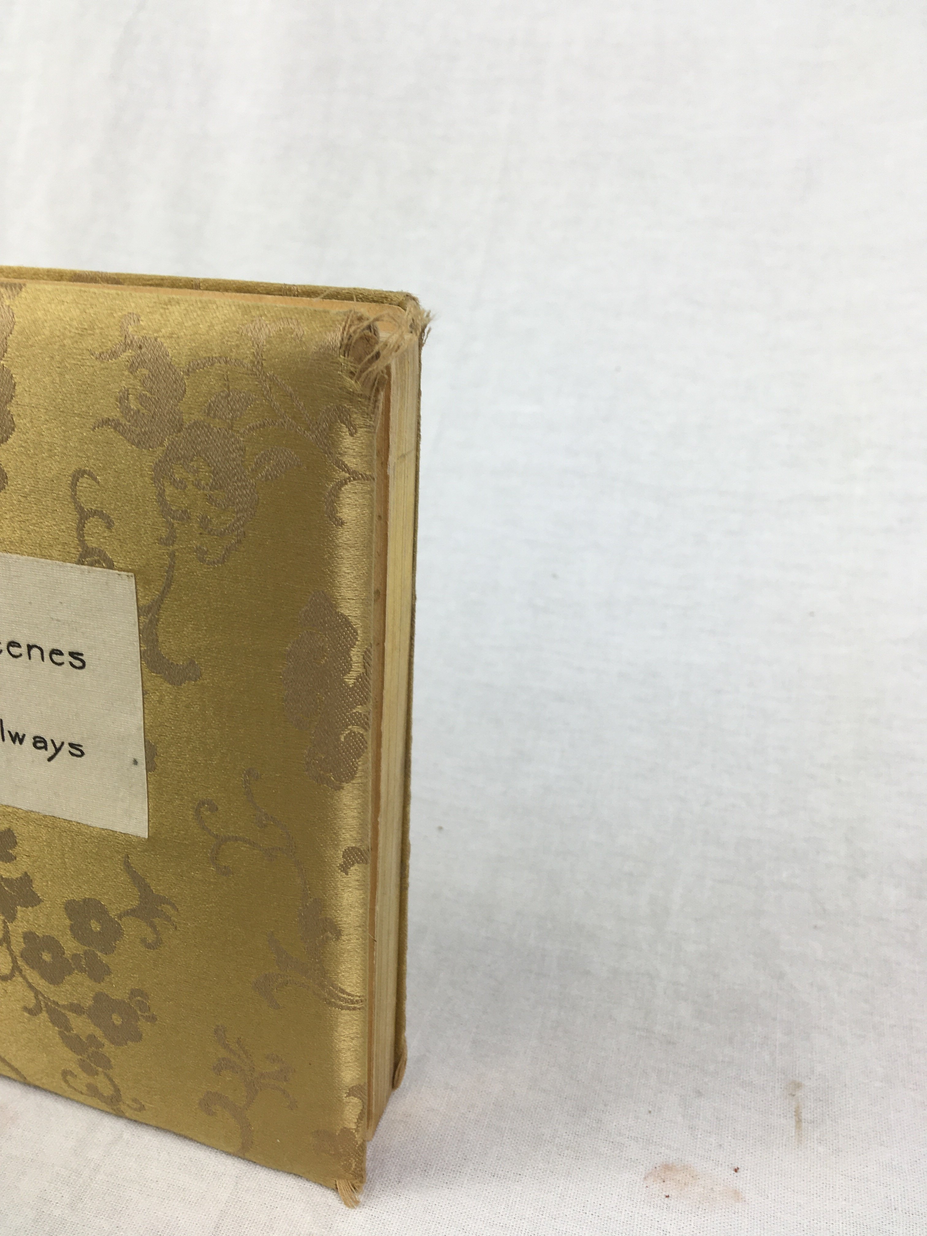 洋書 革装本 小口天金 豪華本 シェイクスピア全集 洋書 革装本 小口天金 豪華本 シェイクスピア全集 本