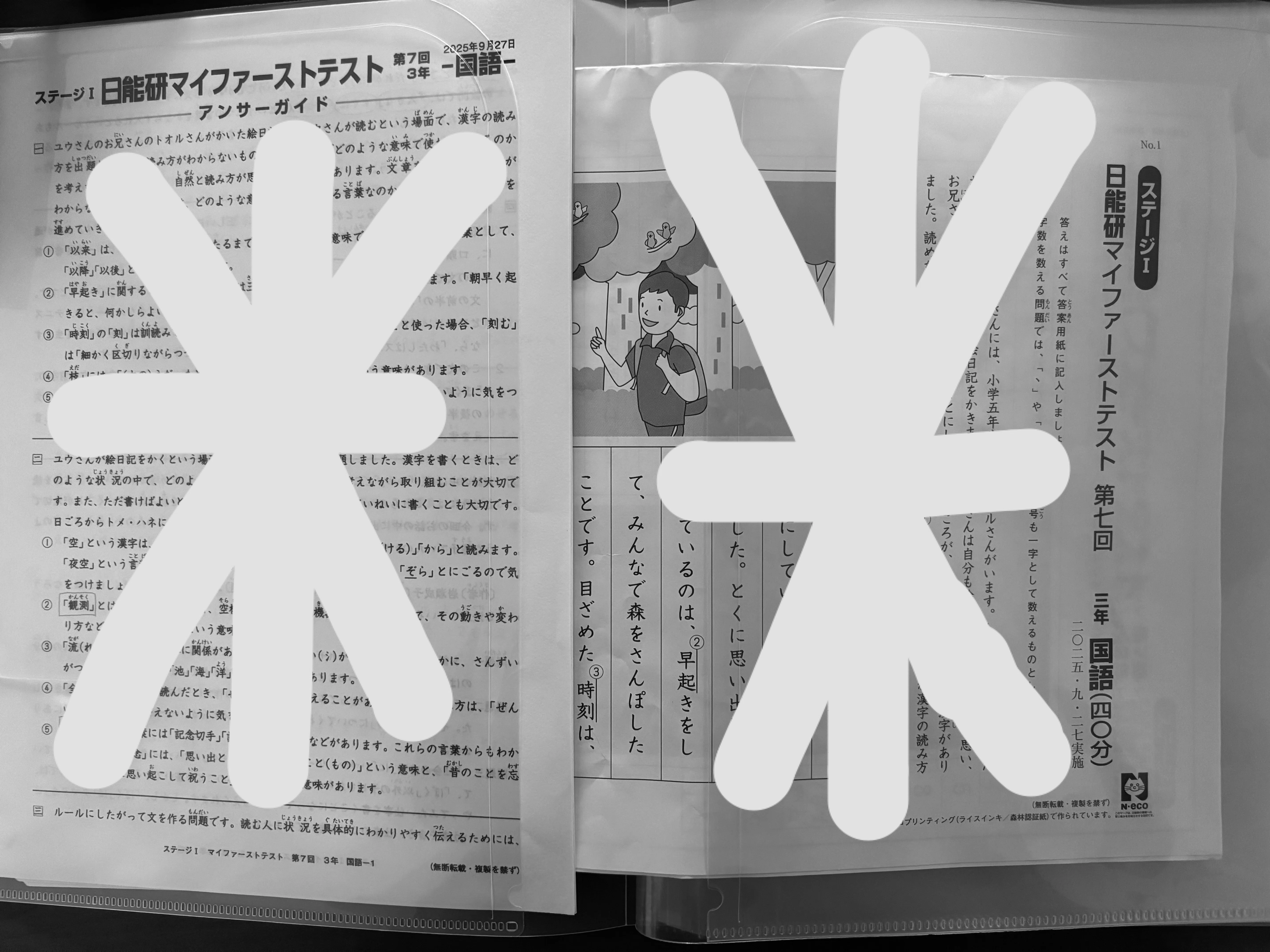 日能研テストの整理法｜セリアのファイルでスッキリ収納！｜えどり