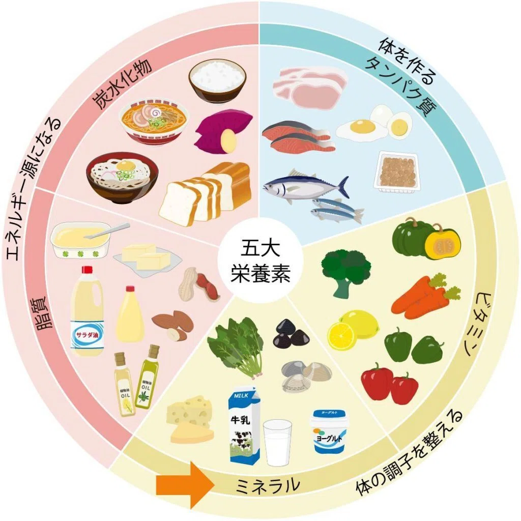 バナジウムとは?バナジウム水を子どもに与えても大丈夫?|mercurop