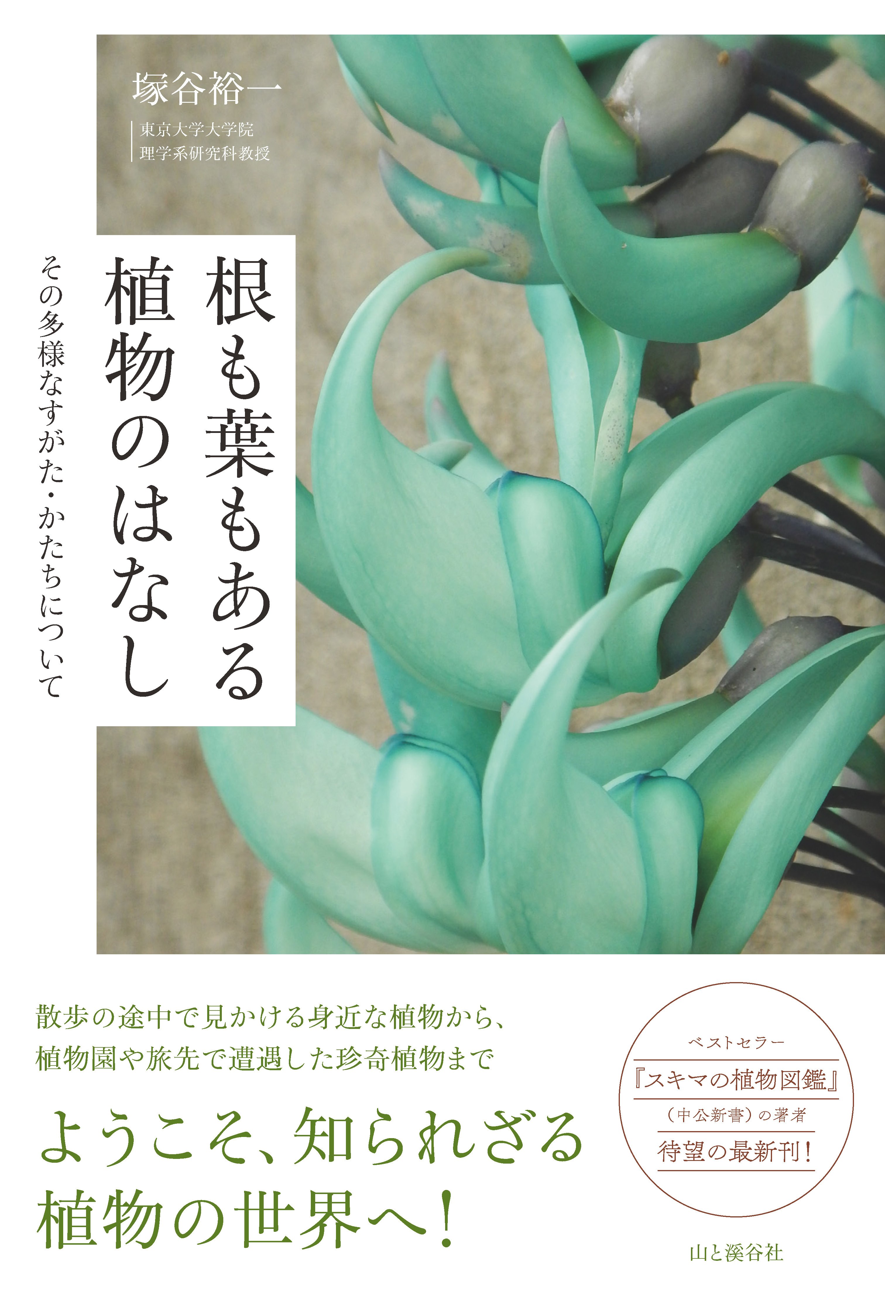 新刊のご案内【2025年7-9月発売 自然科学】『山溪ハンディ図鑑 樹