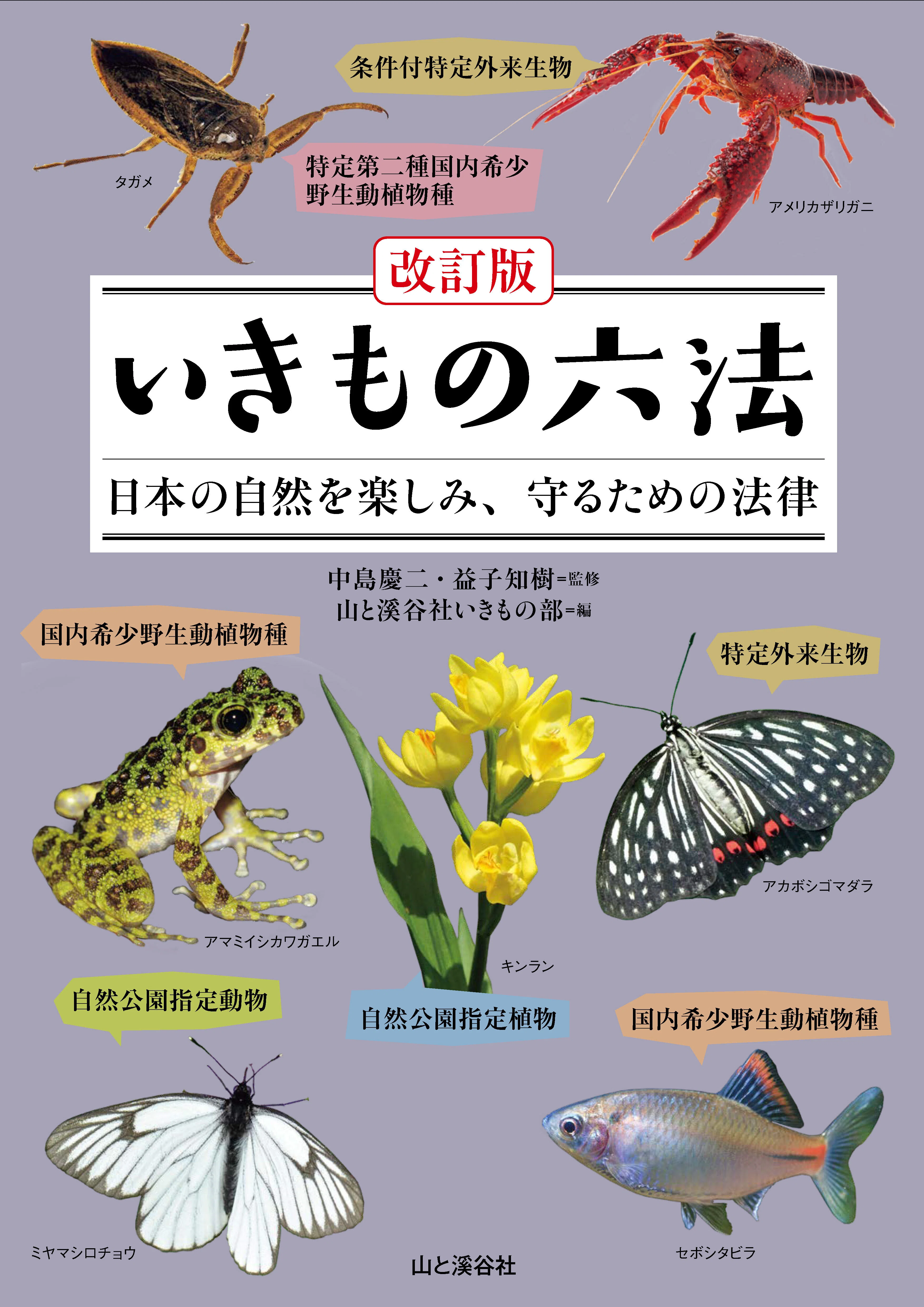 新刊のご案内【2025年7-9月発売 自然科学】『山溪ハンディ図鑑 樹