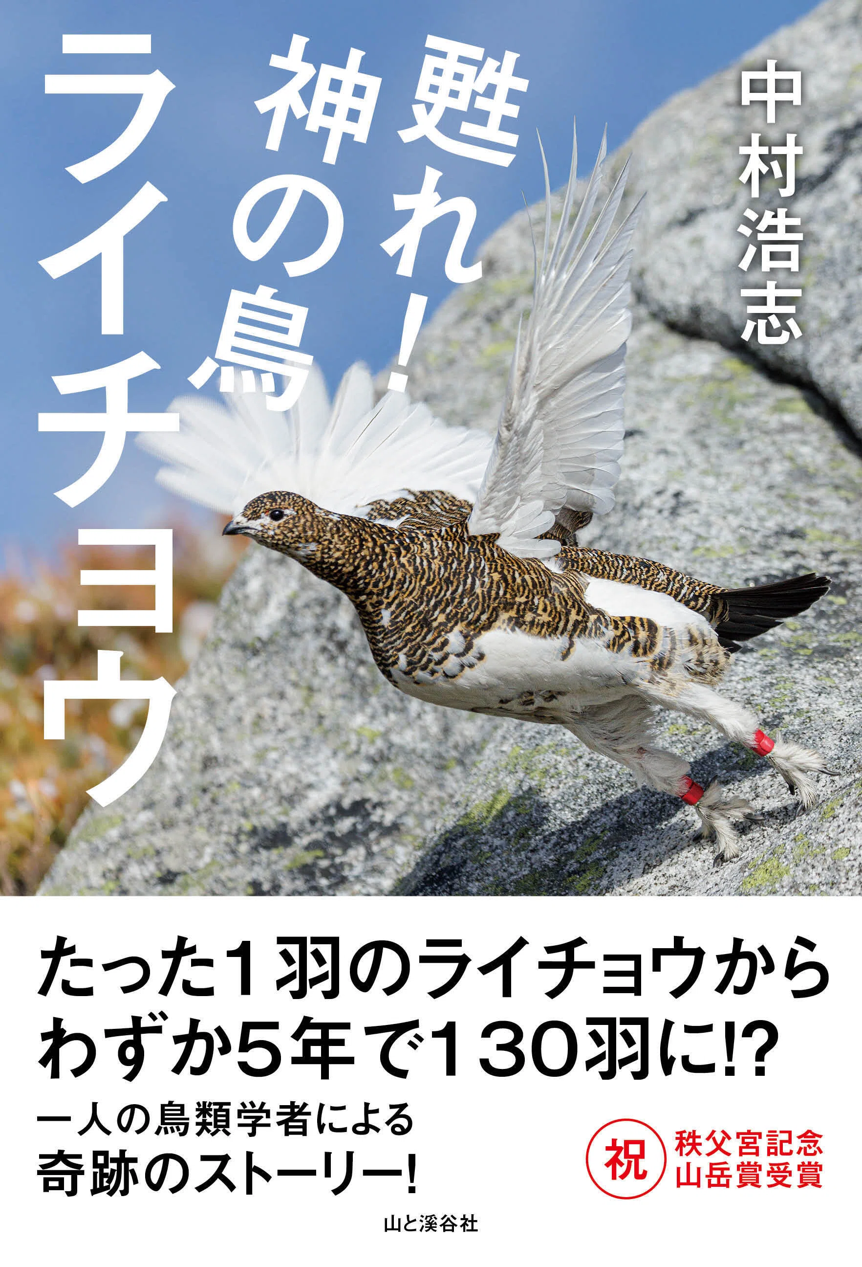 新刊のご案内【2025年7-9月発売 自然科学】『山溪ハンディ図鑑 樹