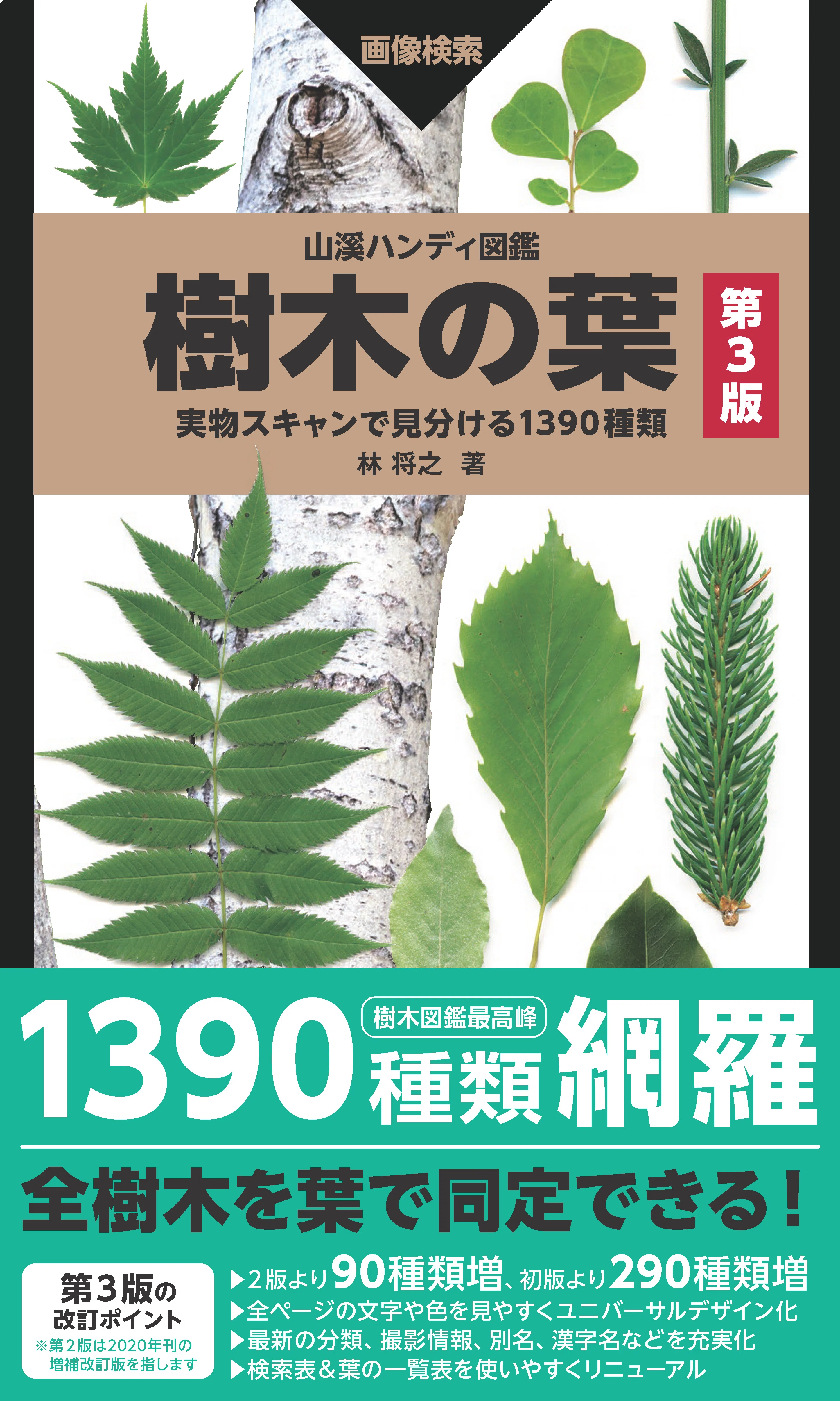 新刊のご案内【2025年7-9月発売 自然科学】『山溪ハンディ図鑑 樹