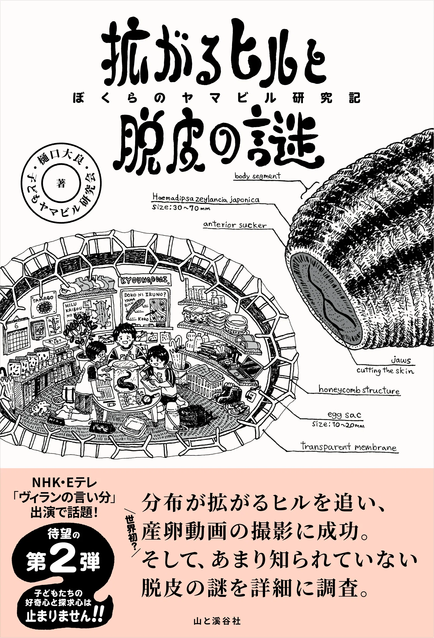 新刊のご案内【2025年7-9月発売 自然科学】『山溪ハンディ図鑑 樹