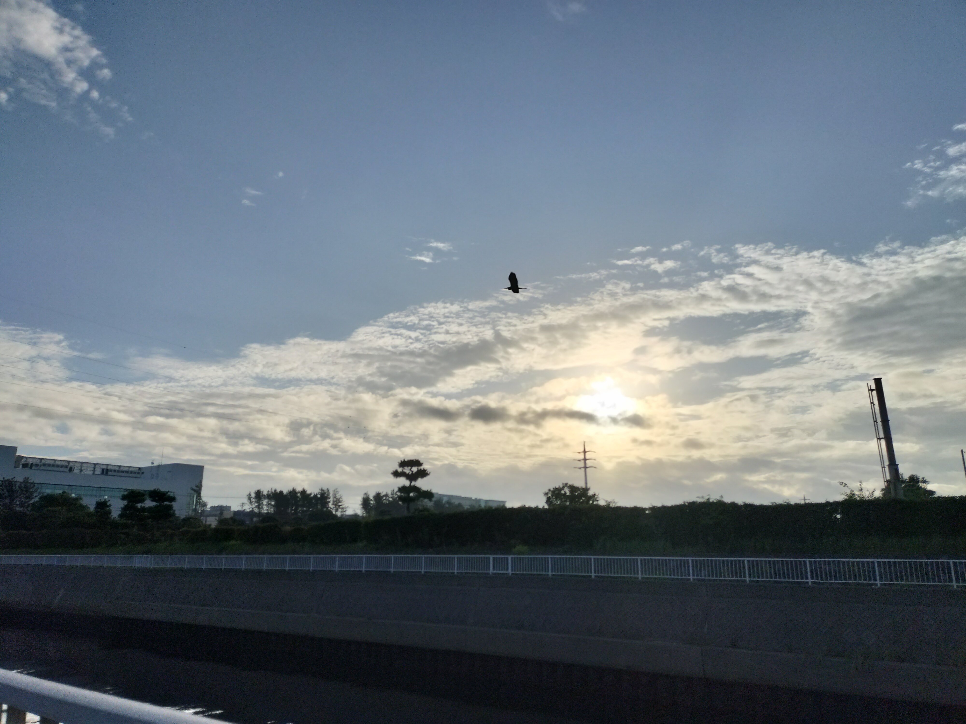 茜浜の夜明け～日の出時刻20分後～1時間後（千葉県習志野市茜浜）｜まる