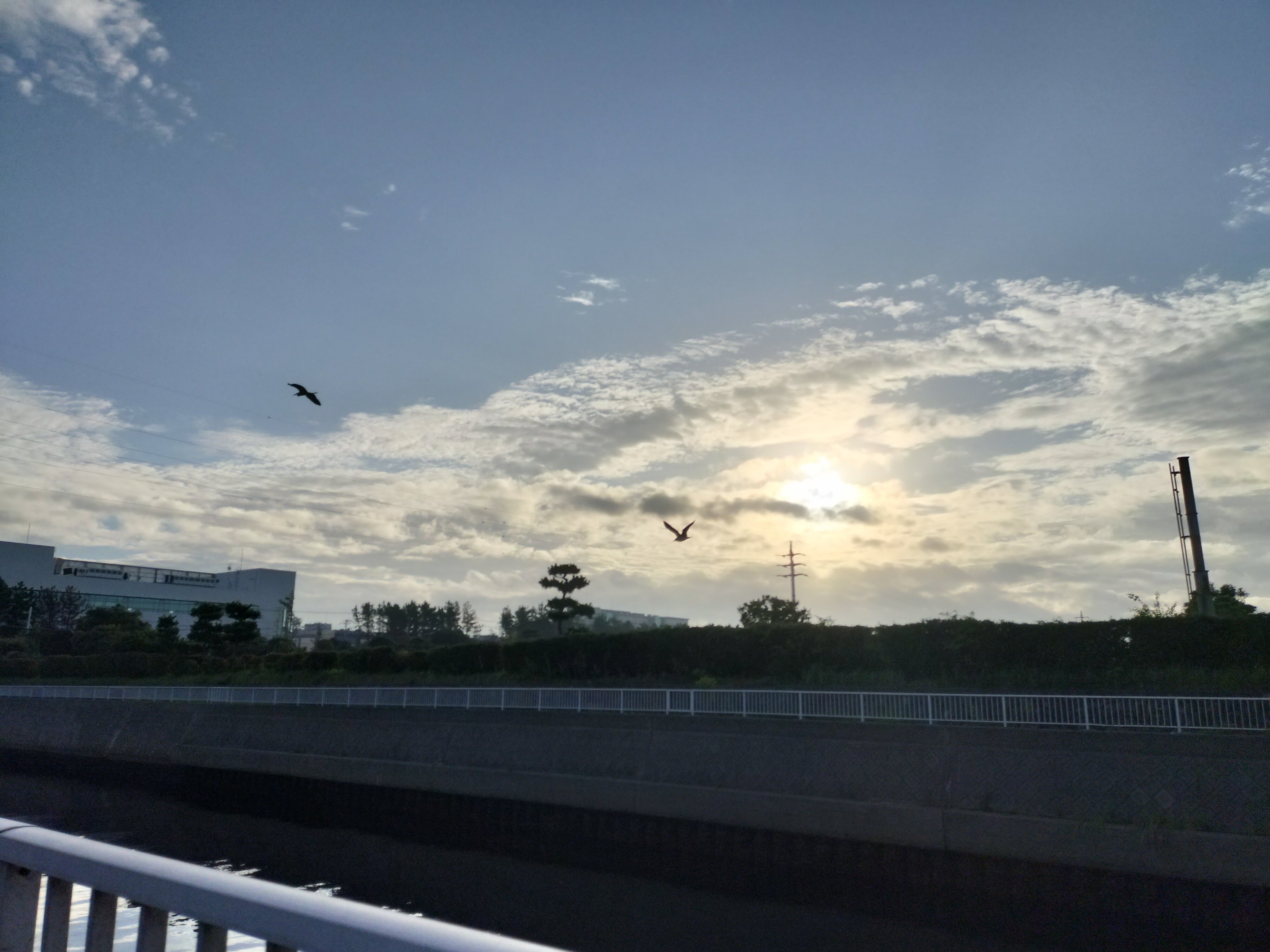 日の出 茜浜の夜明け～日の出時刻20分後～1時間後（千葉県習志野市茜浜）｜まる