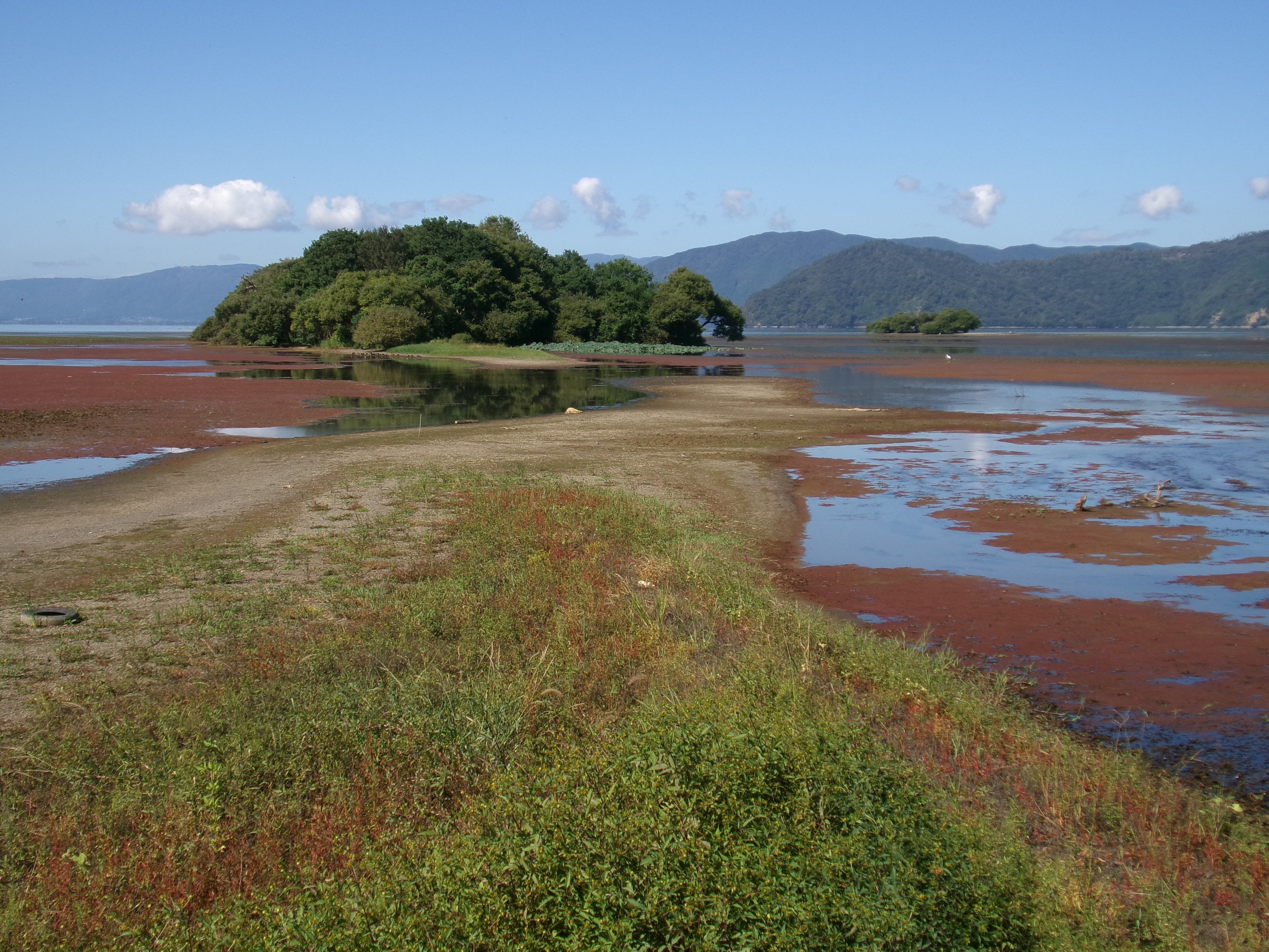 琵琶湖のモンサンミッシェルになりそうなくらいに水位低下 今日