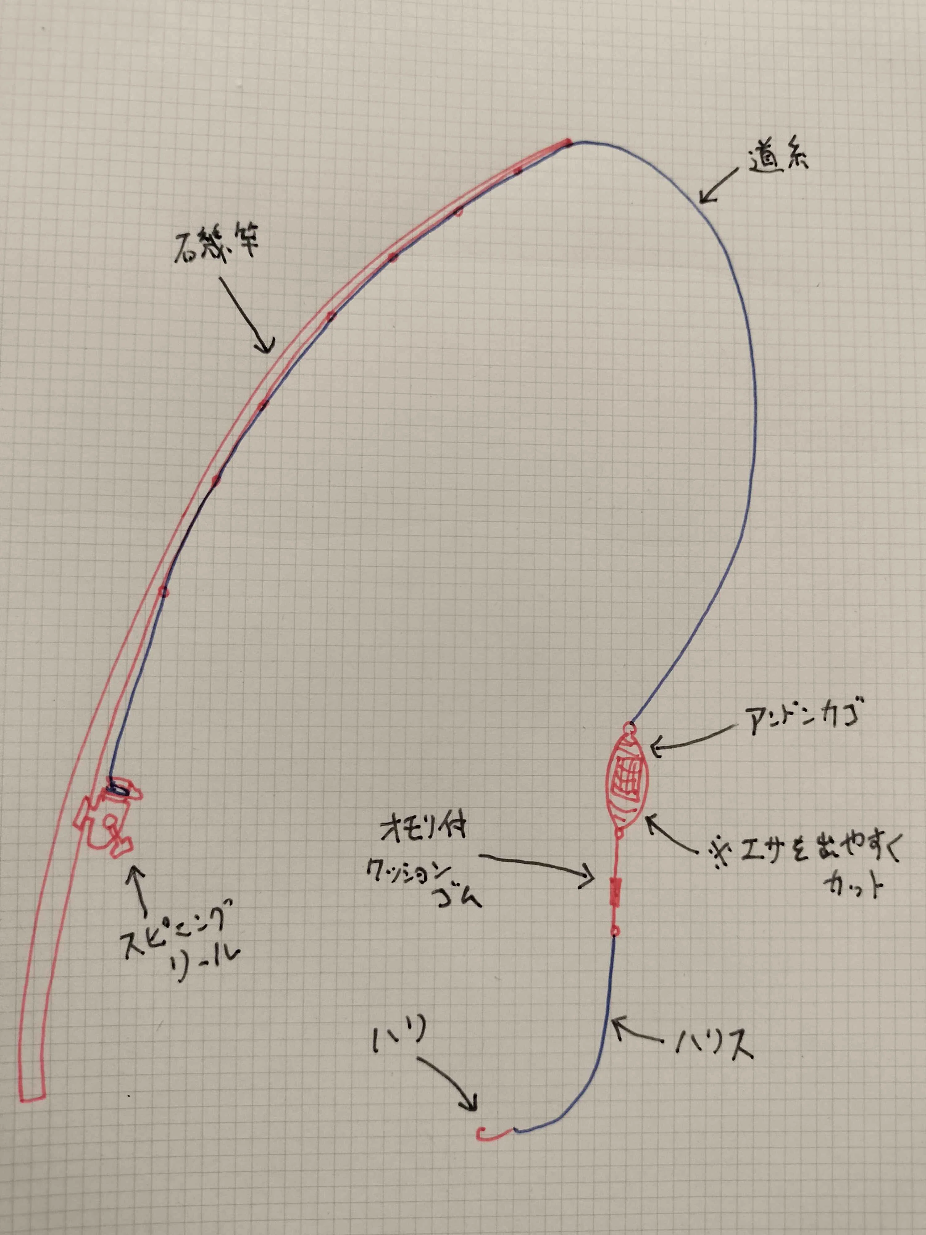 大物連発】足元カゴ釣り完全ガイド｜ウキ不要・遠投不要で初心者でも