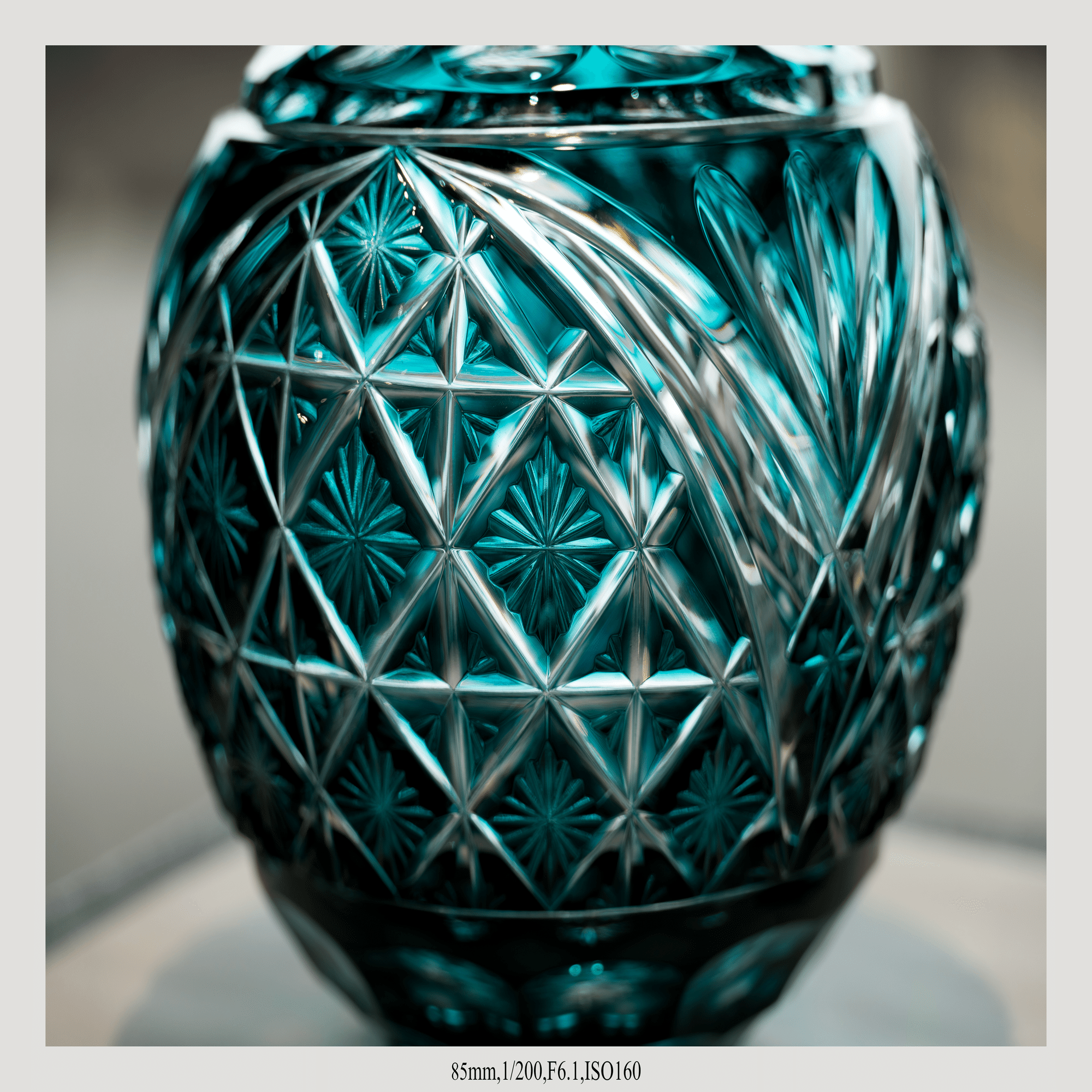 10月11日更新】SIGMA 20–200mm F3.5–6.3 DG | Contemporary 作例