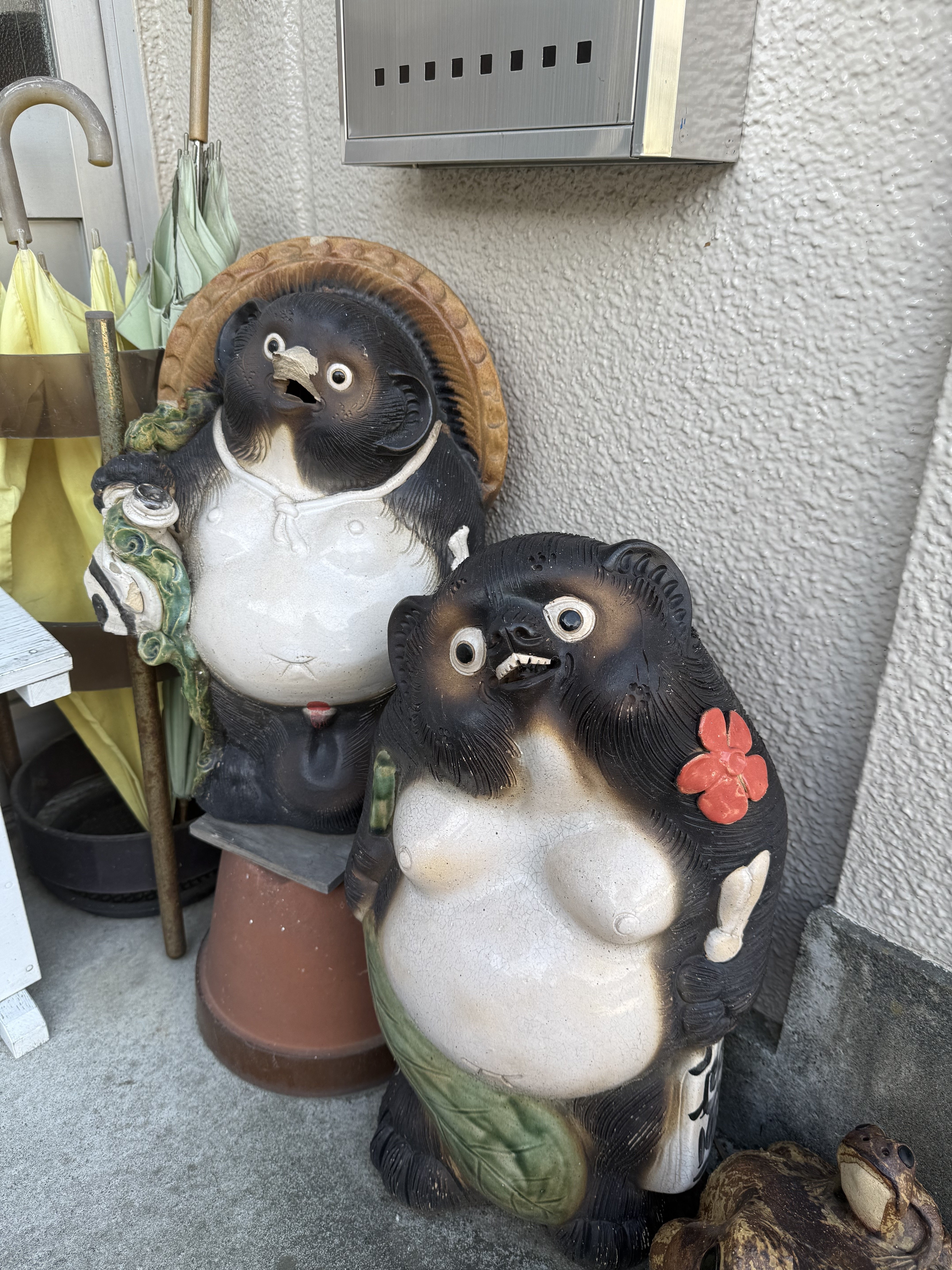 Ponpoko Radio #7 (Oct.15 2025)｜only in dreams