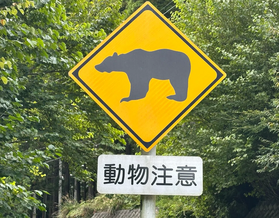 熊出没注意標識