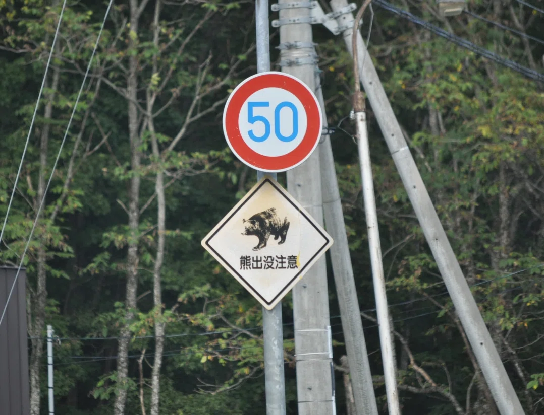 熊出没注意標識