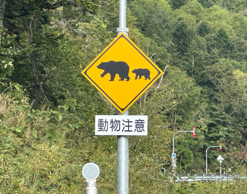 熊出没注意標識