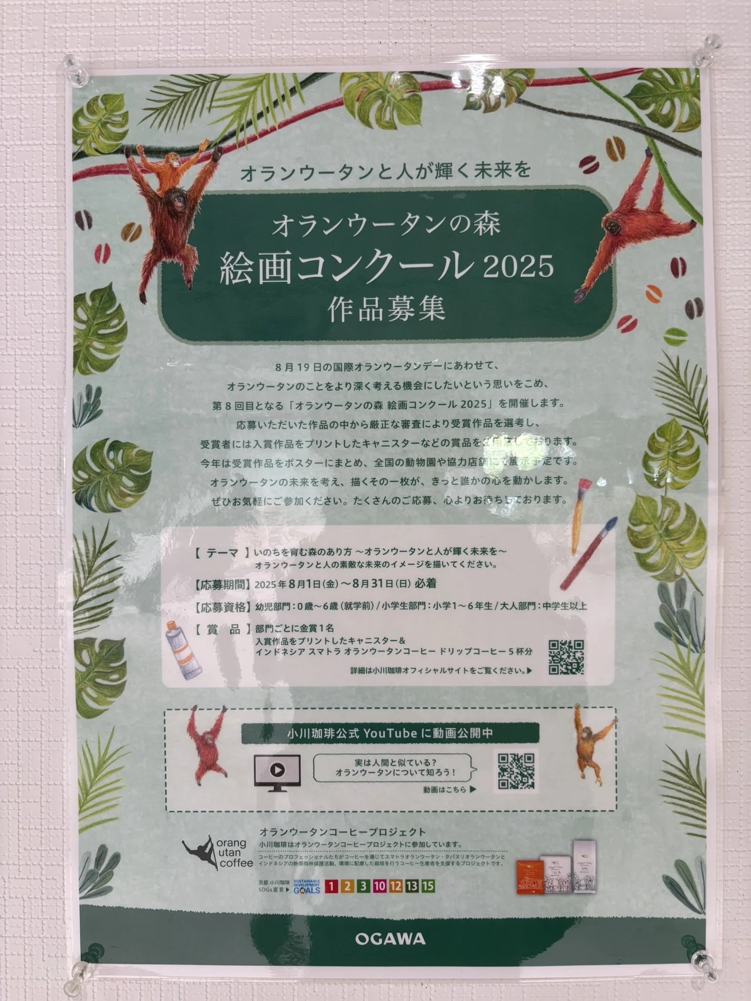 ご報告】オランウータン絵画コンクール金賞‼｜オカモトピカリ|ピカリ研究室
