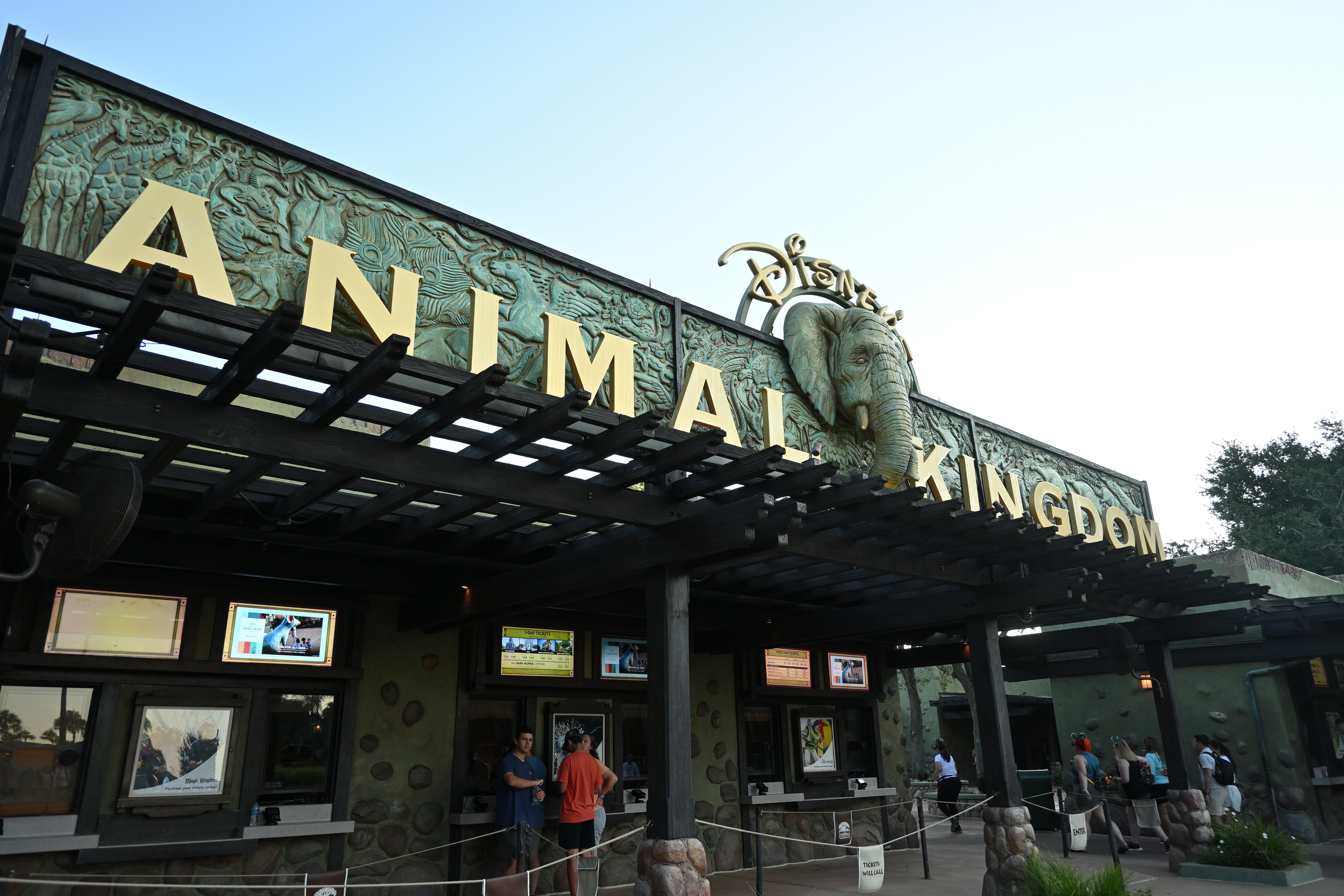 WDW 2025 (Animal Kingdom編 その1)｜HAJ