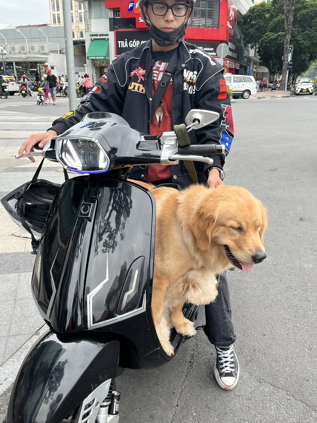 置物】スクーターに乗った犬たち 【公式通販】