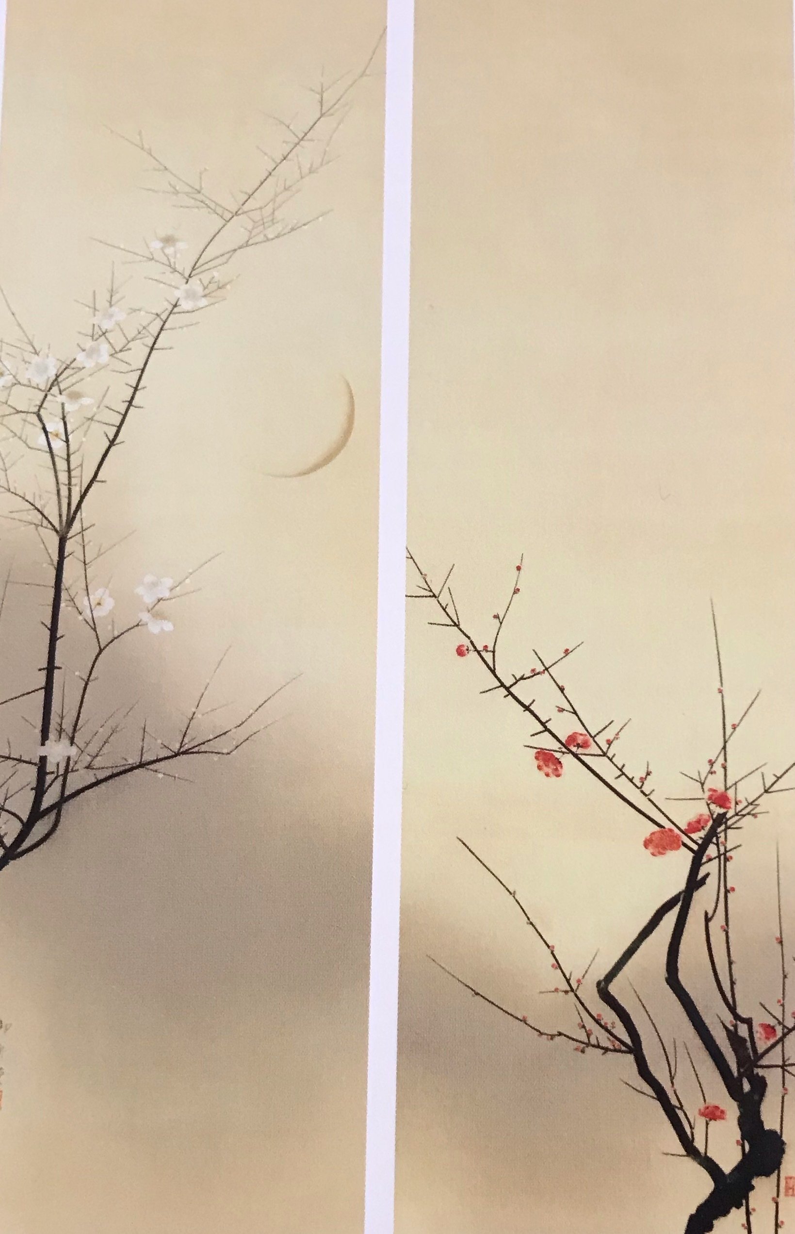 山種美術館🌸速水御舟と山口晃の巻｜しかのじょう