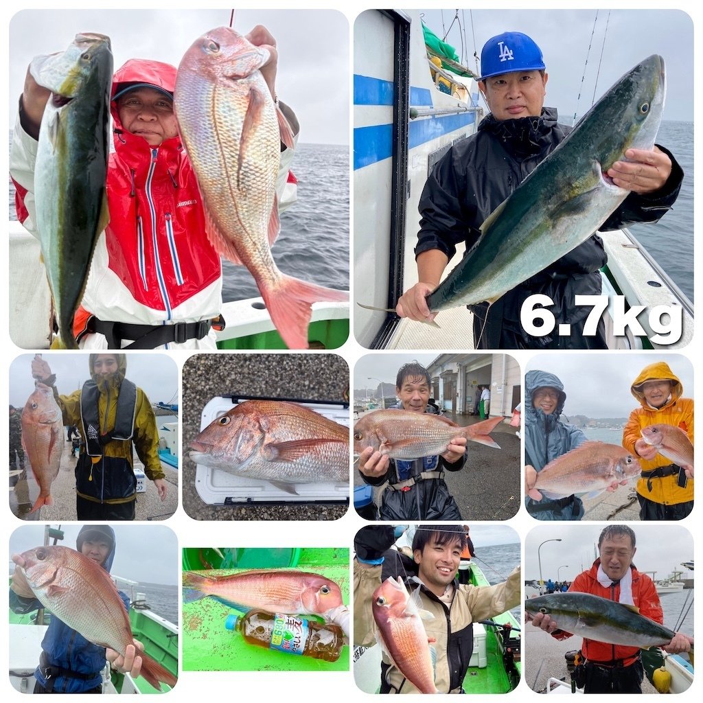 釣りマロ】 釣りマロ】 釣りマロ】 釣りマロ】 ZX-195 公式限定