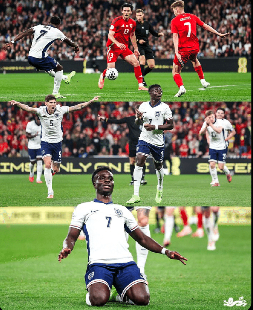 国際親善試合]イングランドvsウェールズ｜シティなび