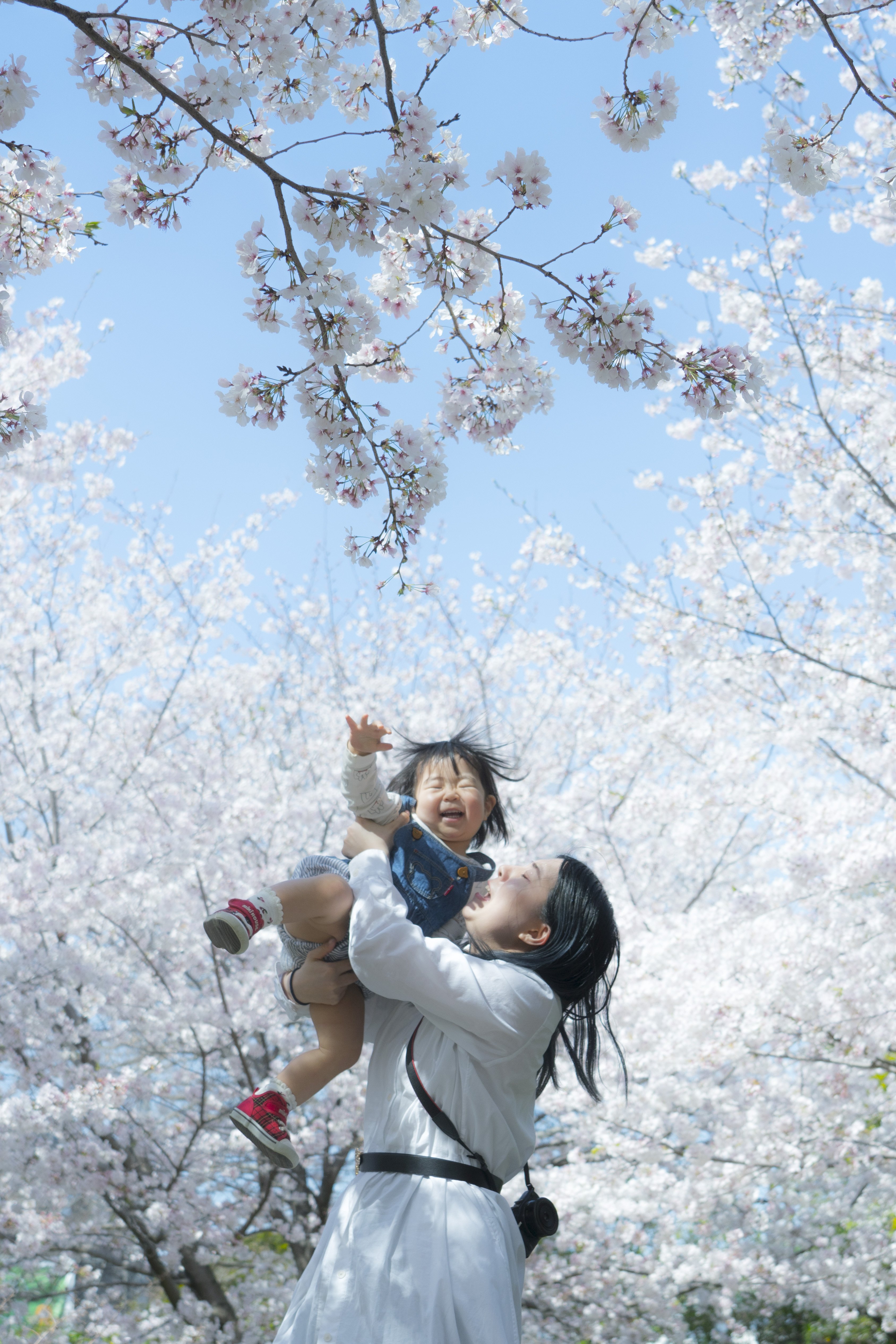 フォトポスタープロジェクト(ppp)に参加しました｜Takahashi Toshio