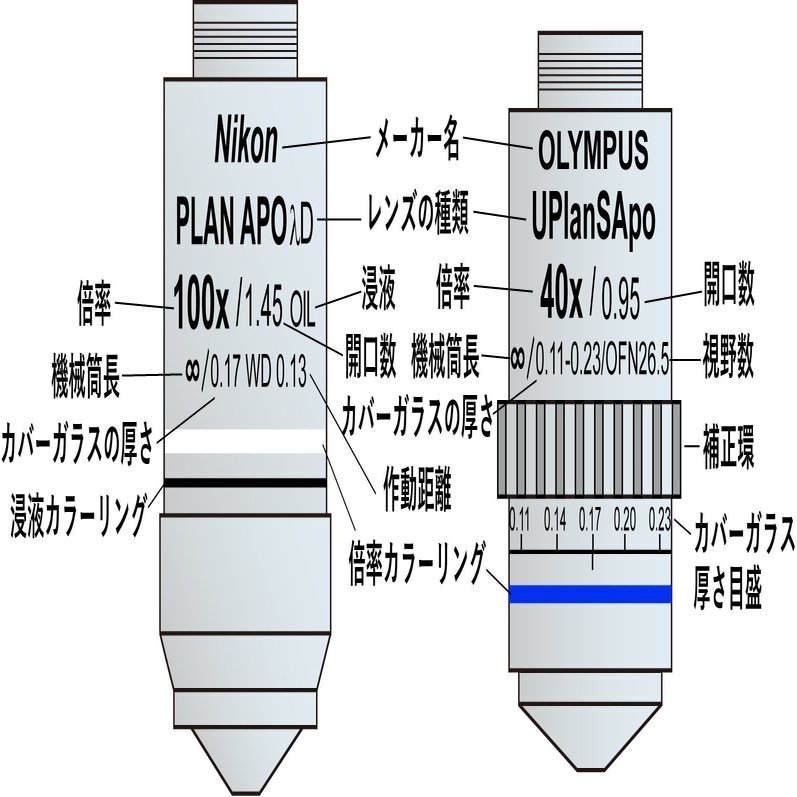 対物レンズの読み方｜市川 壮彦