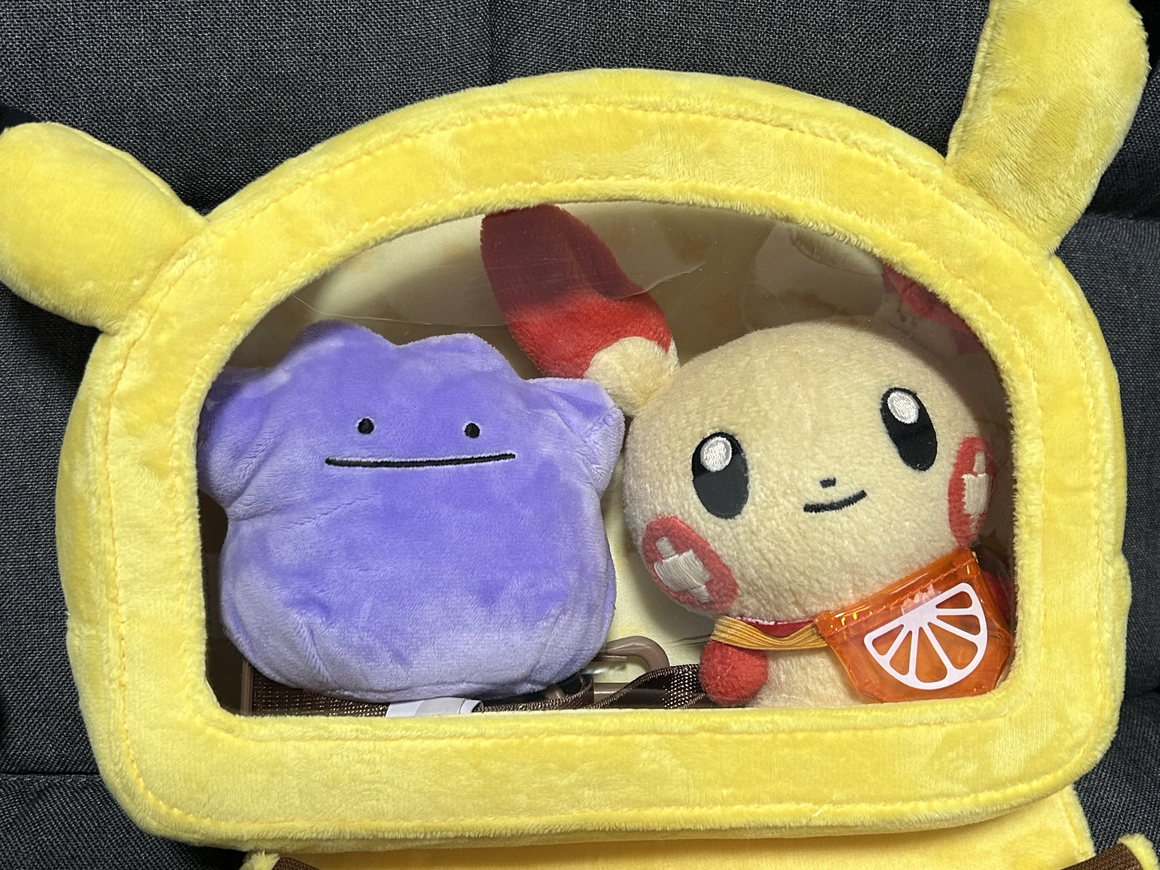 愛媛のポケモンストアと香川のポケモンセンターに行きました｜あんか