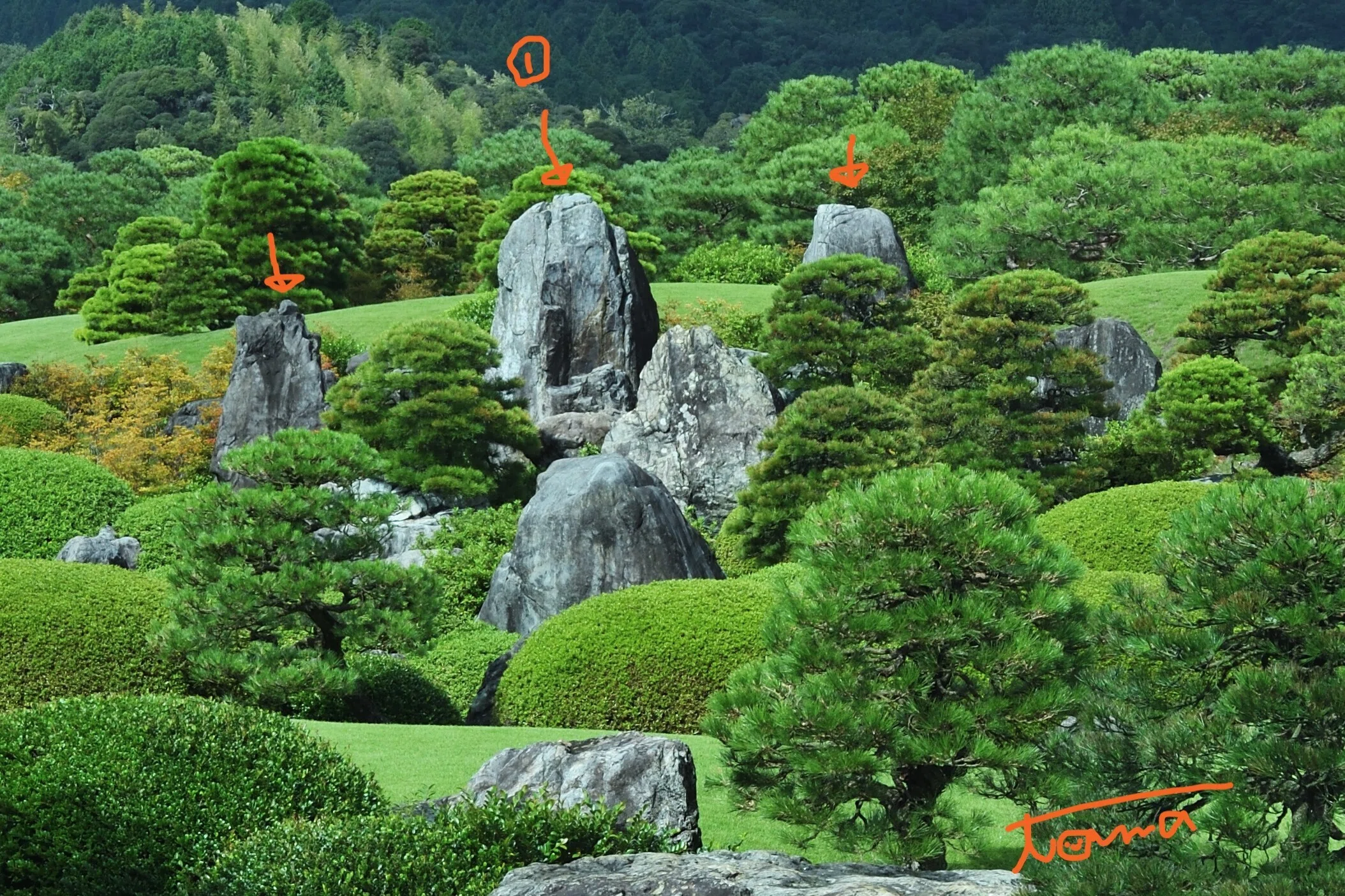 お庭を鑑賞しながら、出世について考えてしまった｜tama：旅と動物