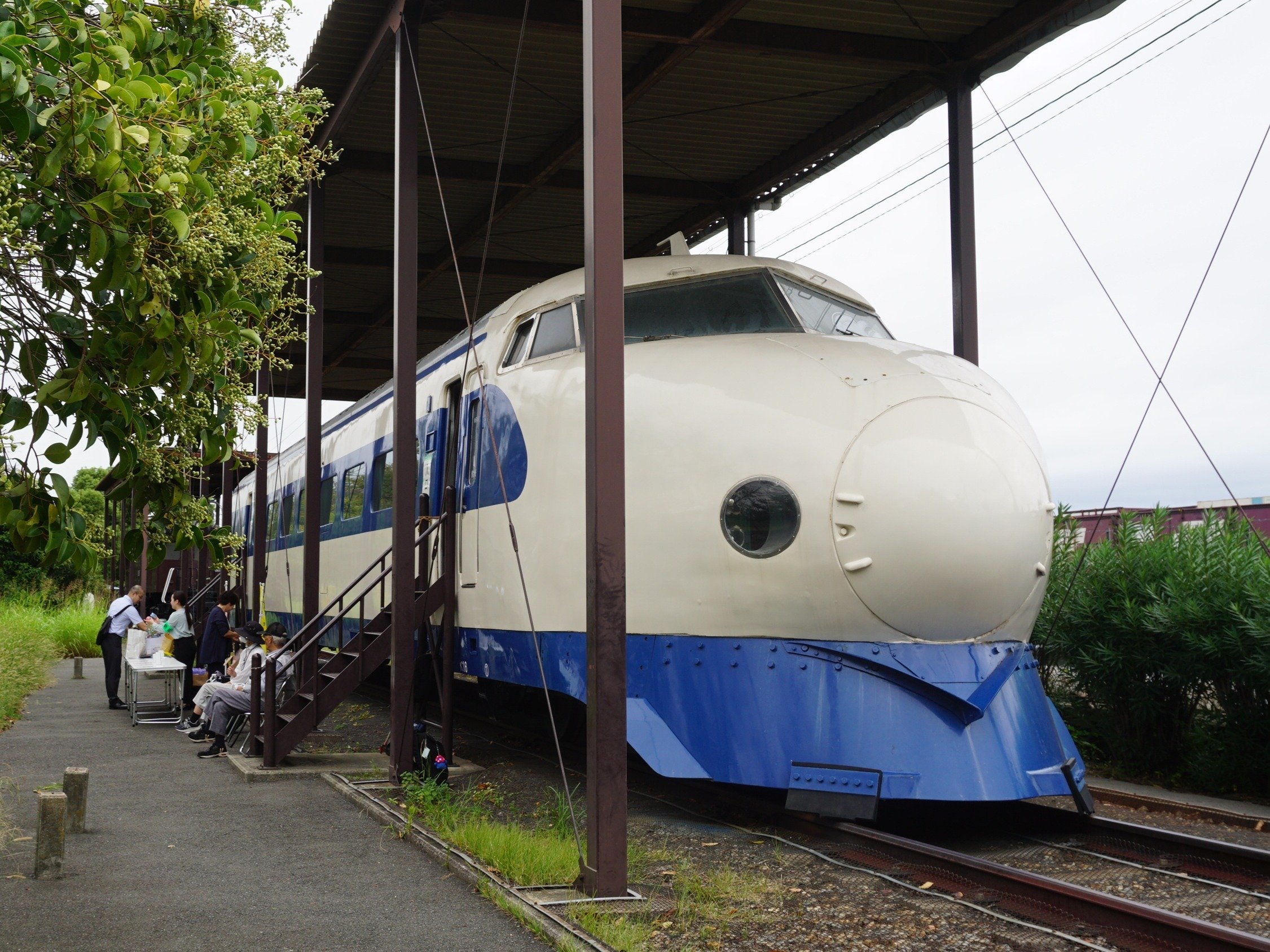 5つのやくそく〇×クイズ 子ども安全キャンペーン｜J:COM地域取材ノート