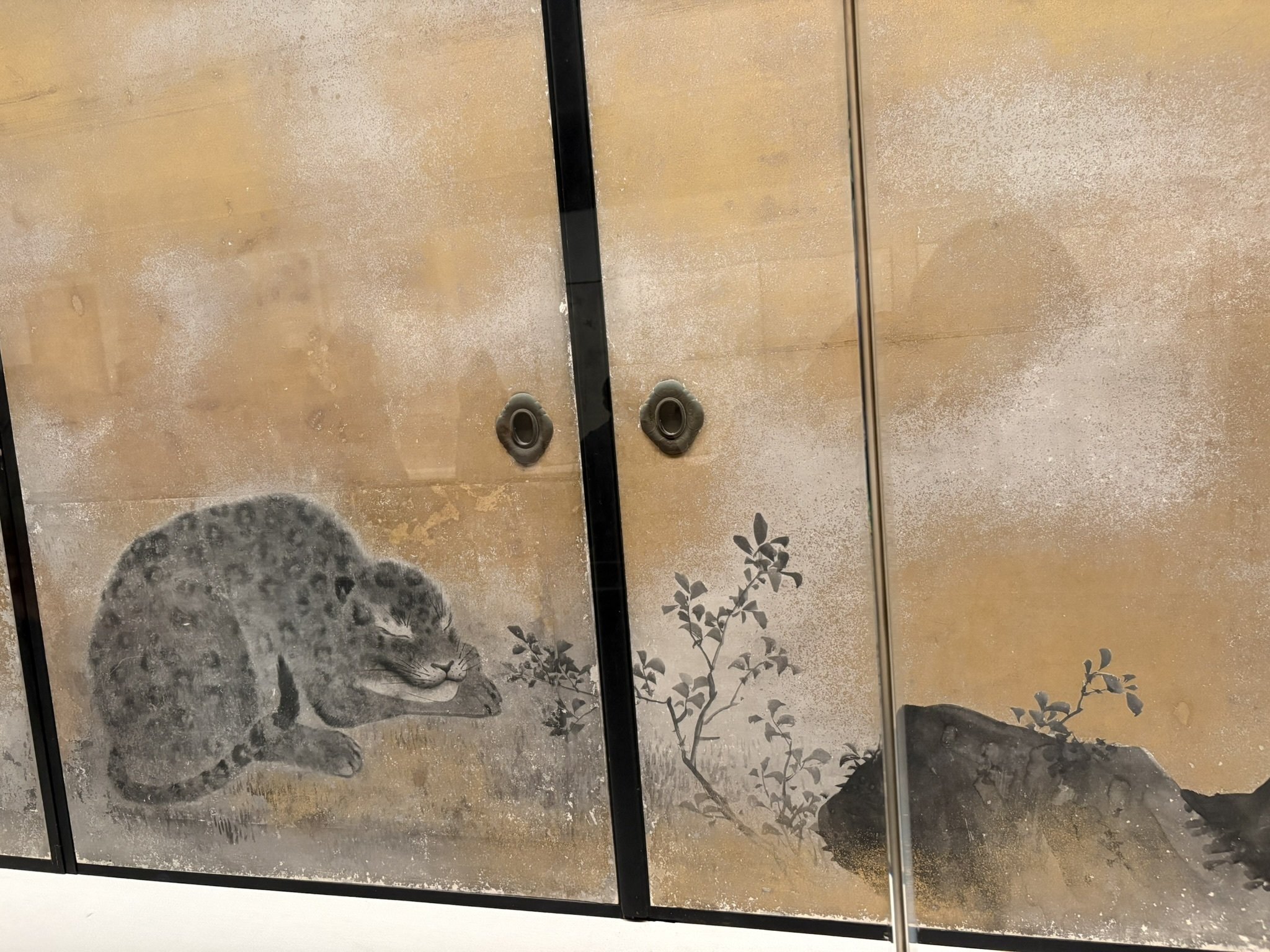 お見それしました！応挙先生｜紅紫