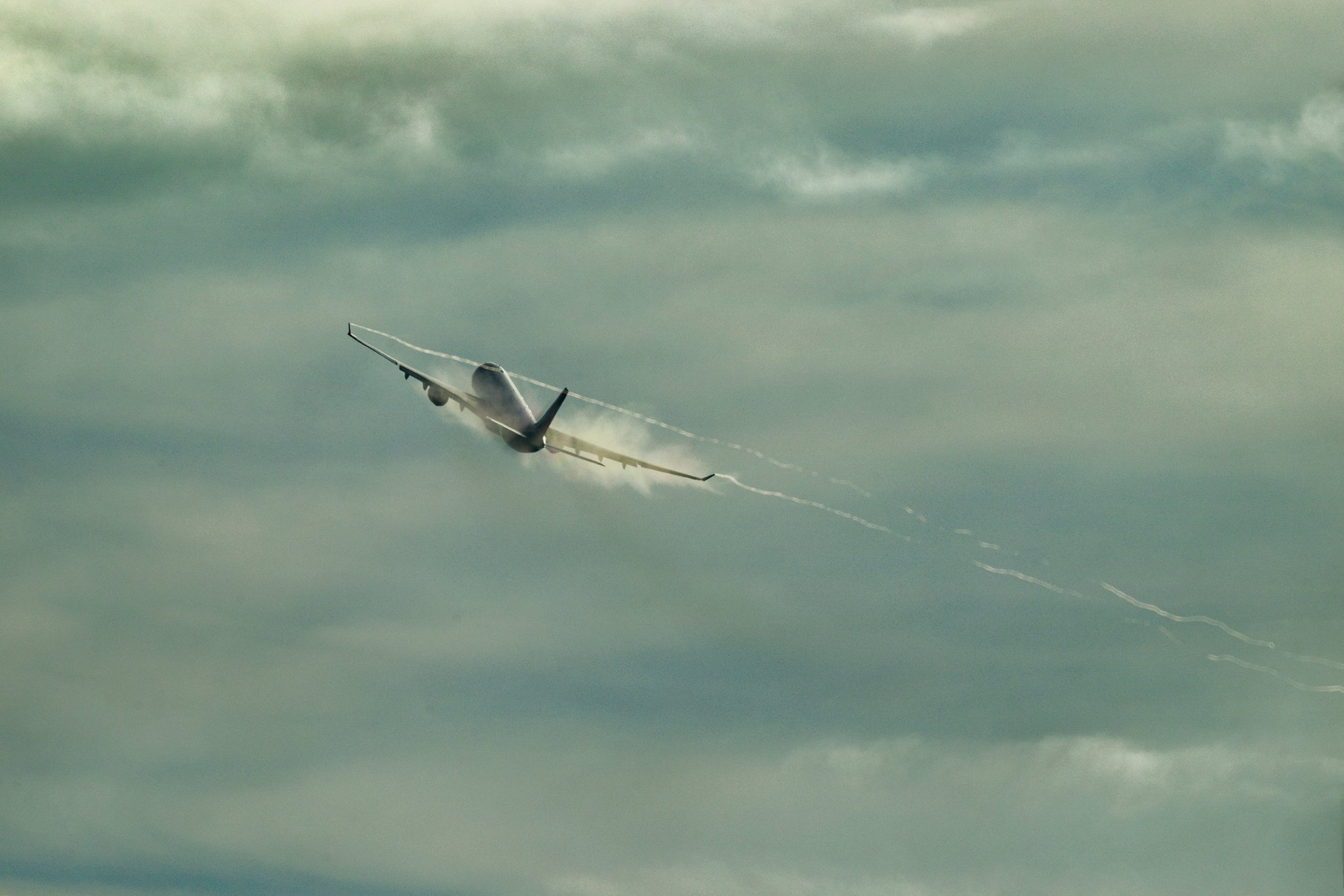 ド本気講座プレミアム×JAL 共催イベント御礼｜ただのフォトグラファー