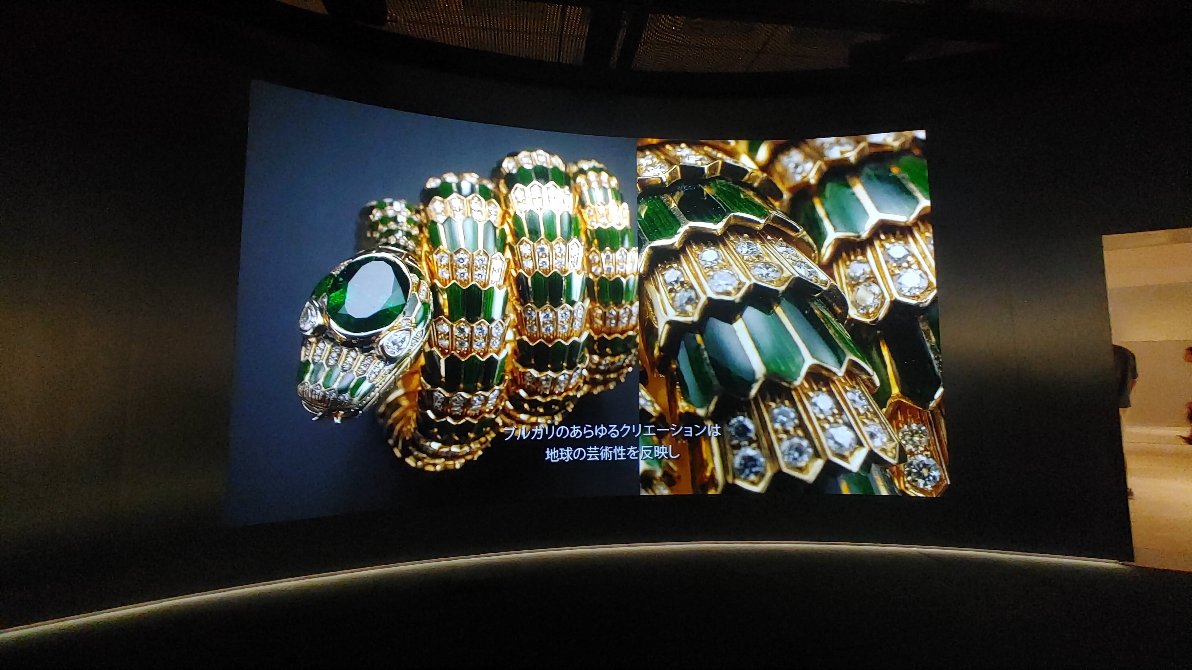 六本木】 蛇を見に、BVLGARI(ﾌﾞﾘｶﾞﾘ)展へ行ってきた。 【国立新美術館